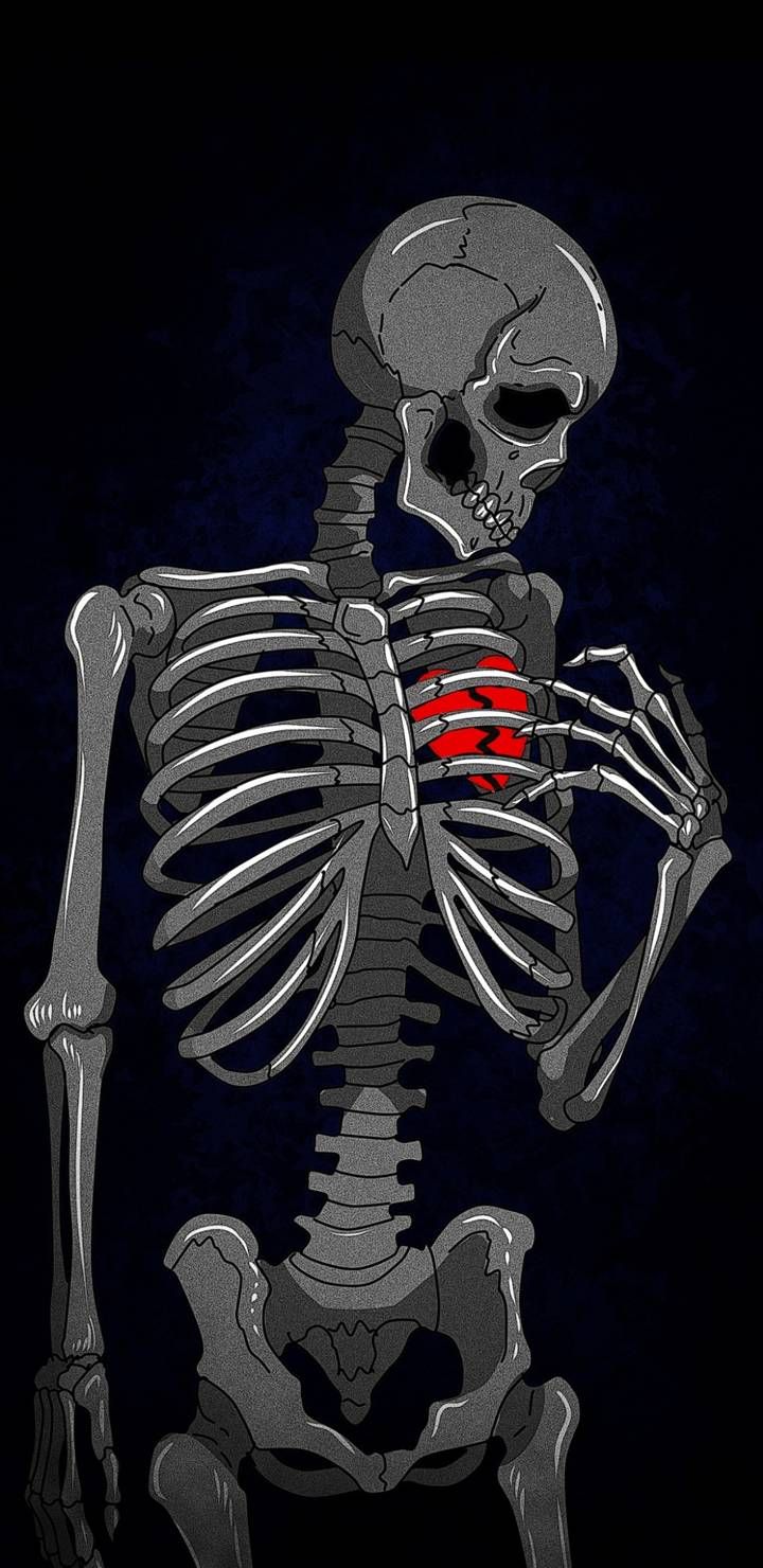 Skeleton Wallpapers, HD Skeleton Backgrounds, Free Images Download