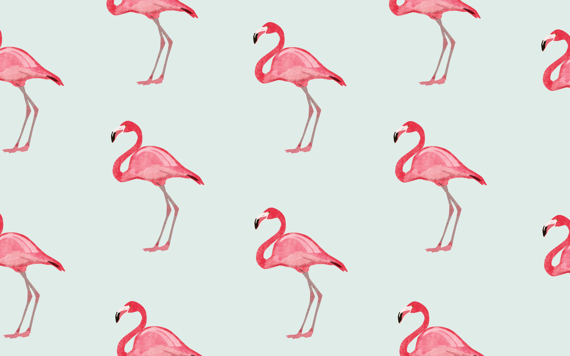47+] Flamingo Wallpaper for Computer - WallpaperSafari