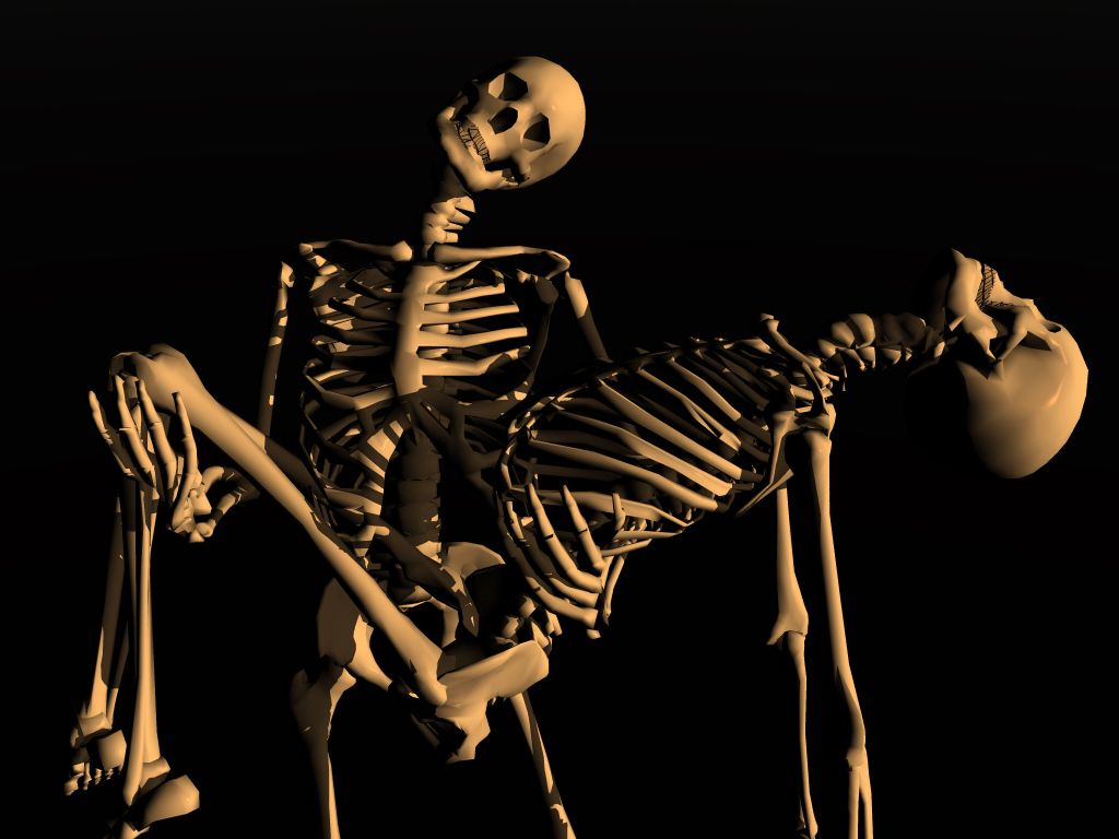 3d Desktop Wallpaper Skeletons 1024x768 Definition