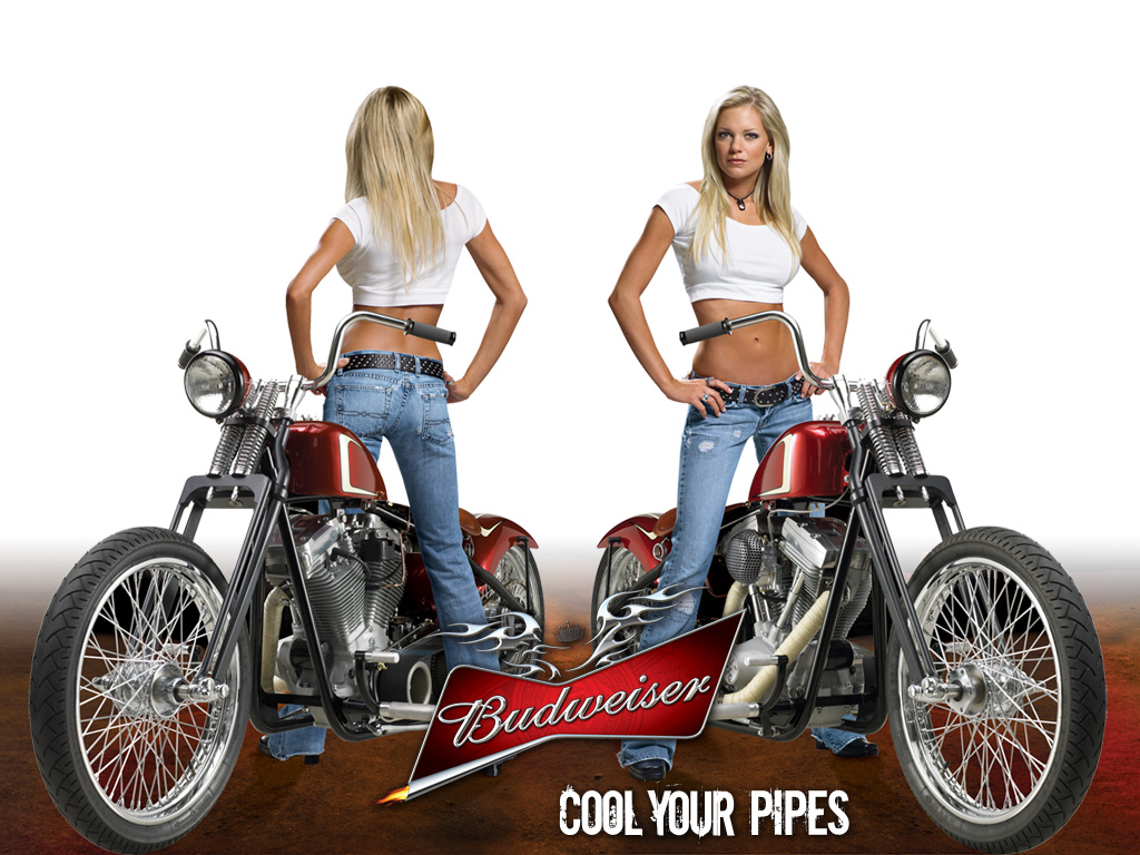 Races And Motorcycles From Budweiser