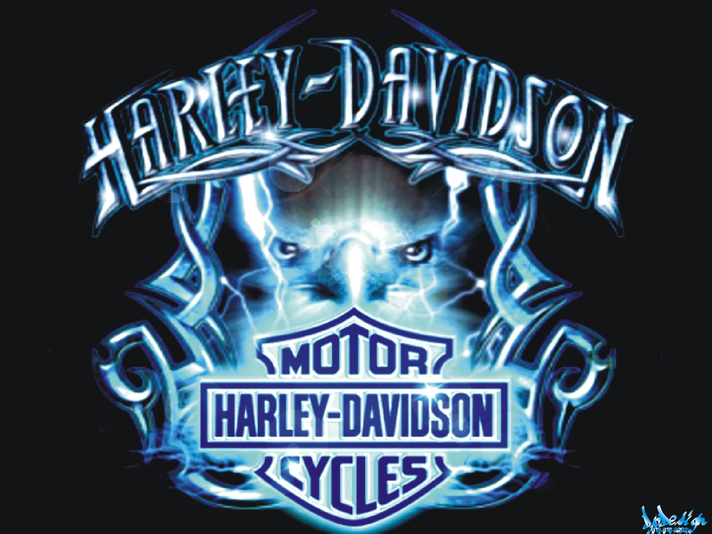 Harley Davidson Lt A Href Bidvertiser