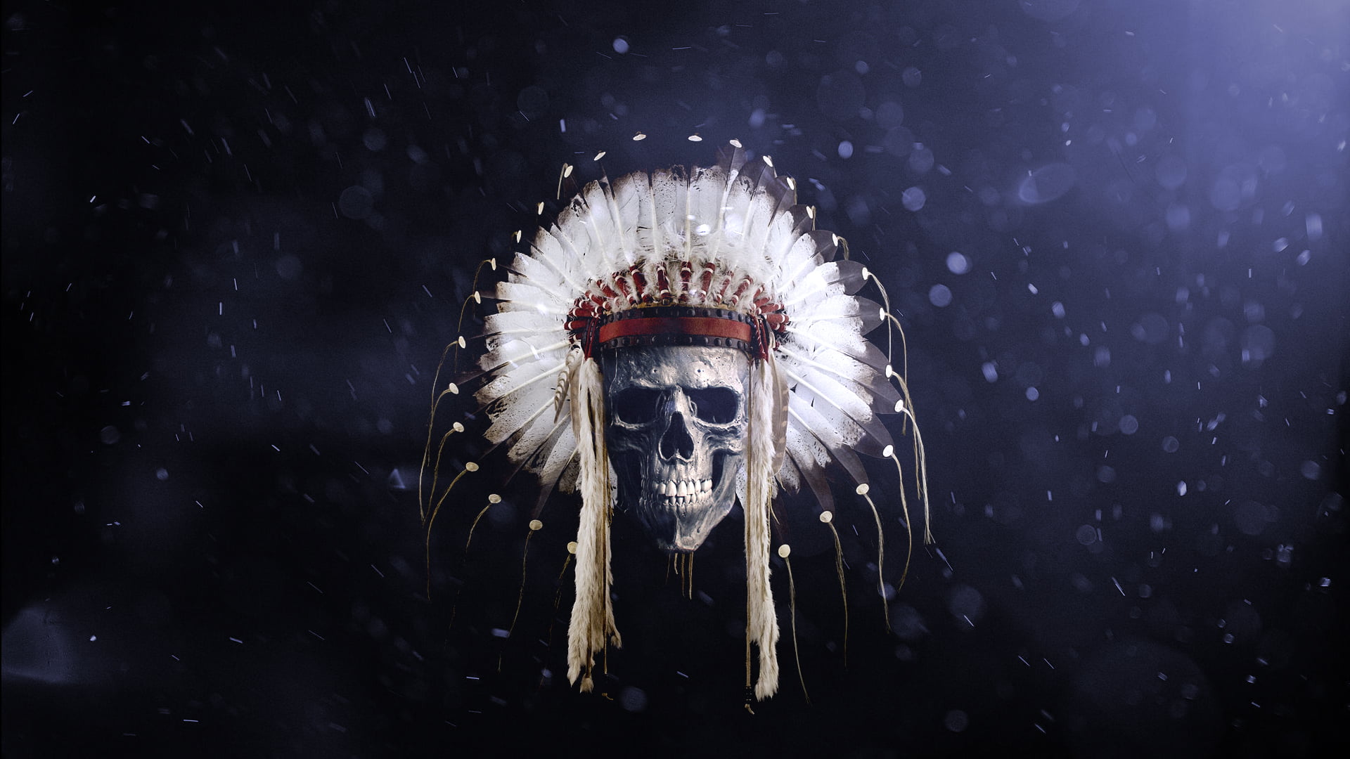 Skull With Feather Headdress Wallpaper Feathers Native