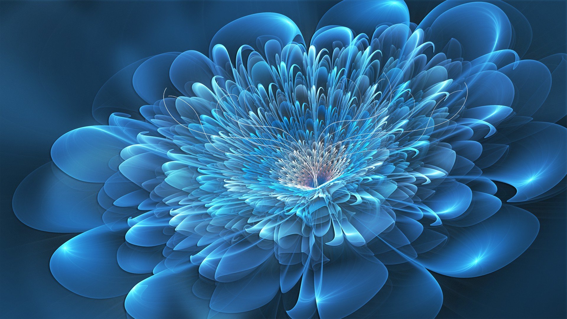 Wallpaper Digital Art Deviantart Flowers Blue Pictures High Definition