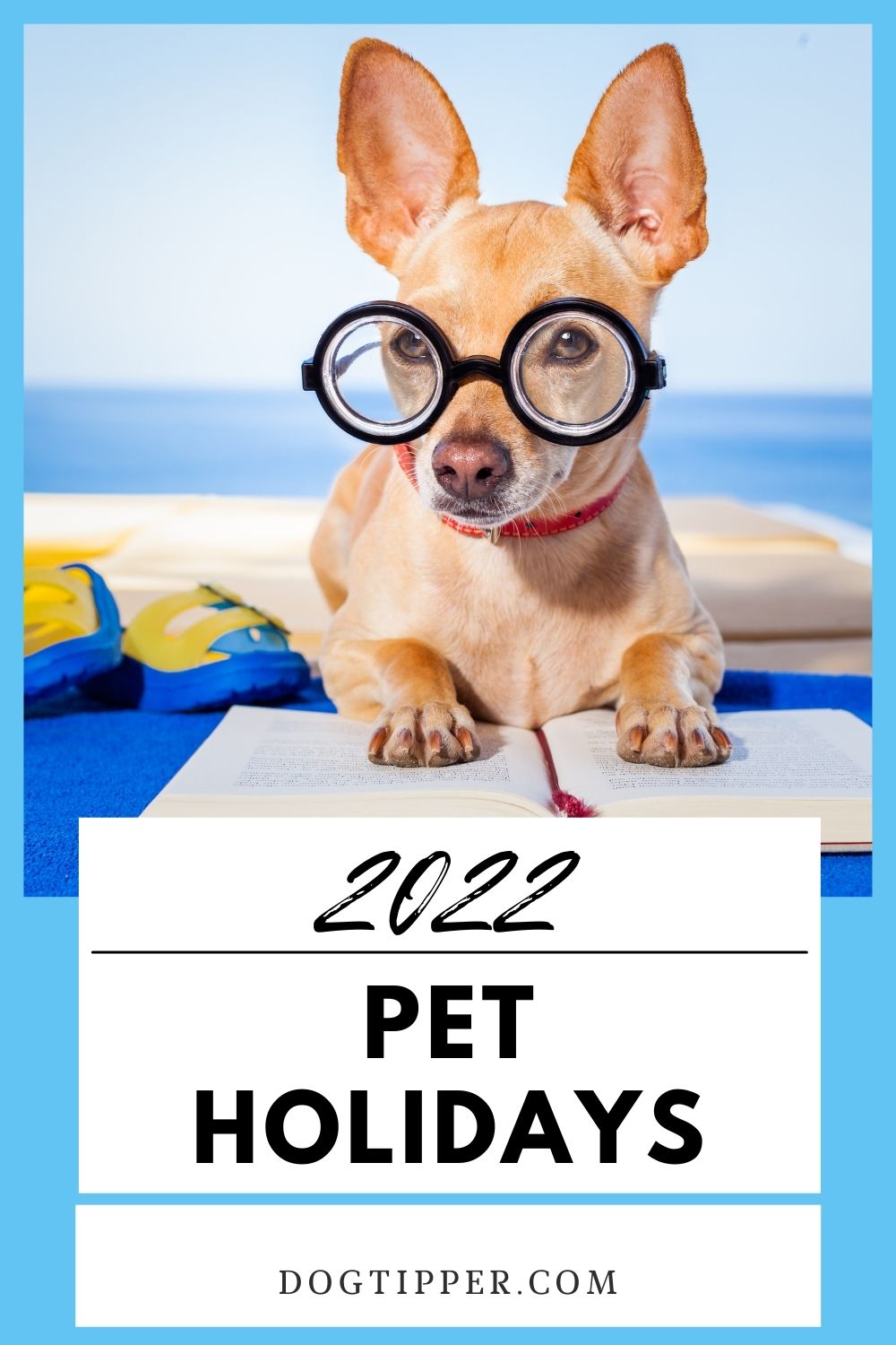 Pet Holidays Days Weeks Months For Dogs Cats