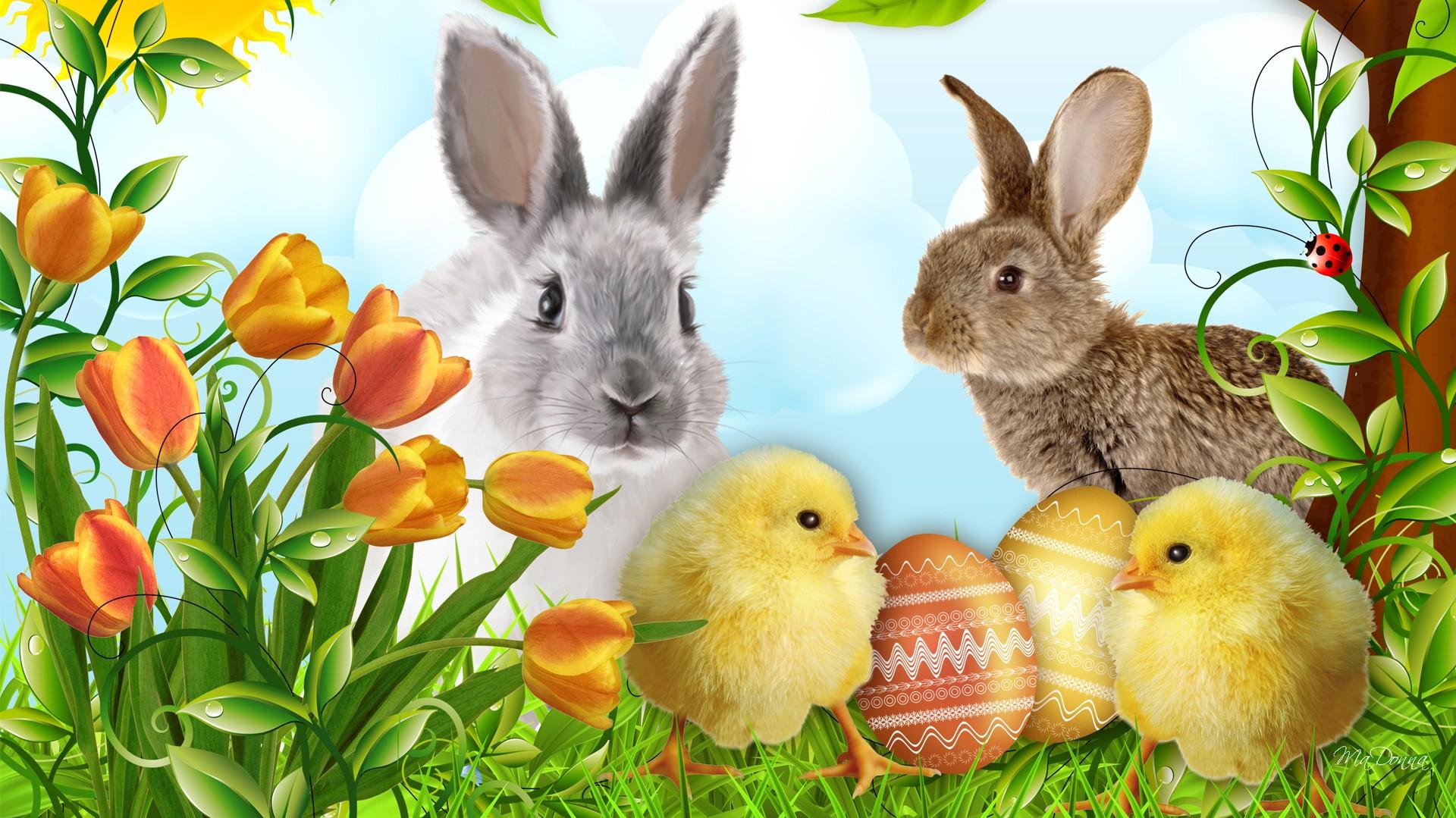 Free download 35 Happy Easter Desktop Wallpaper HD for Free