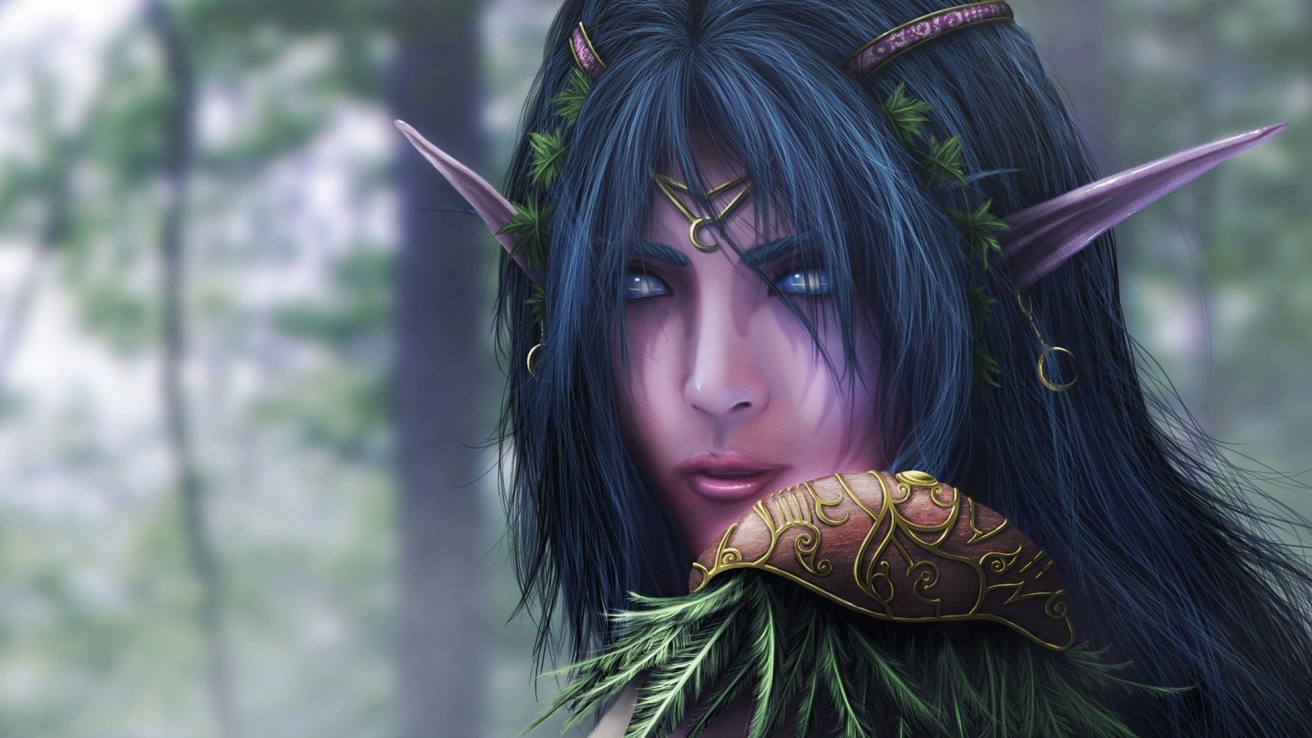 Wallpaper World Of Warcraft Elves Artwork