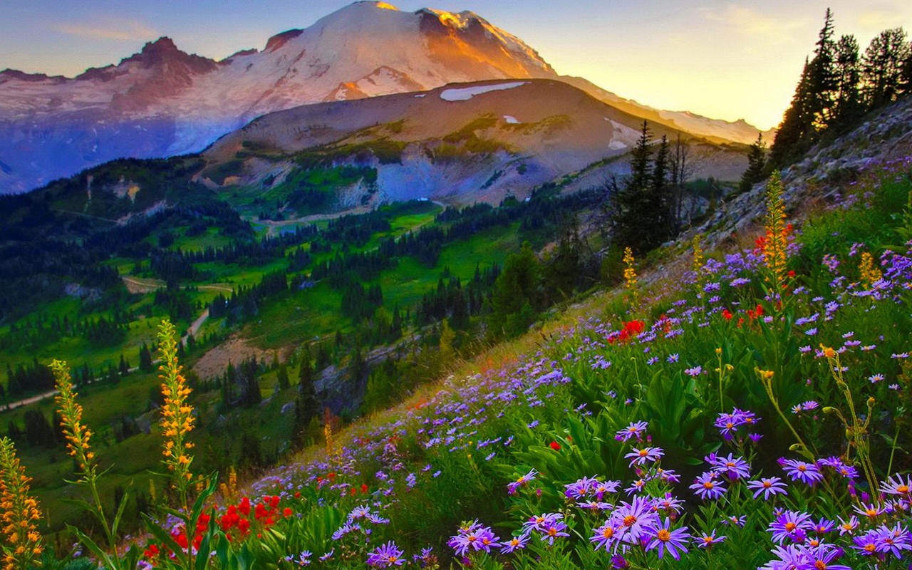Mount Rainier HD Desktop Wallpaper Widescreen High