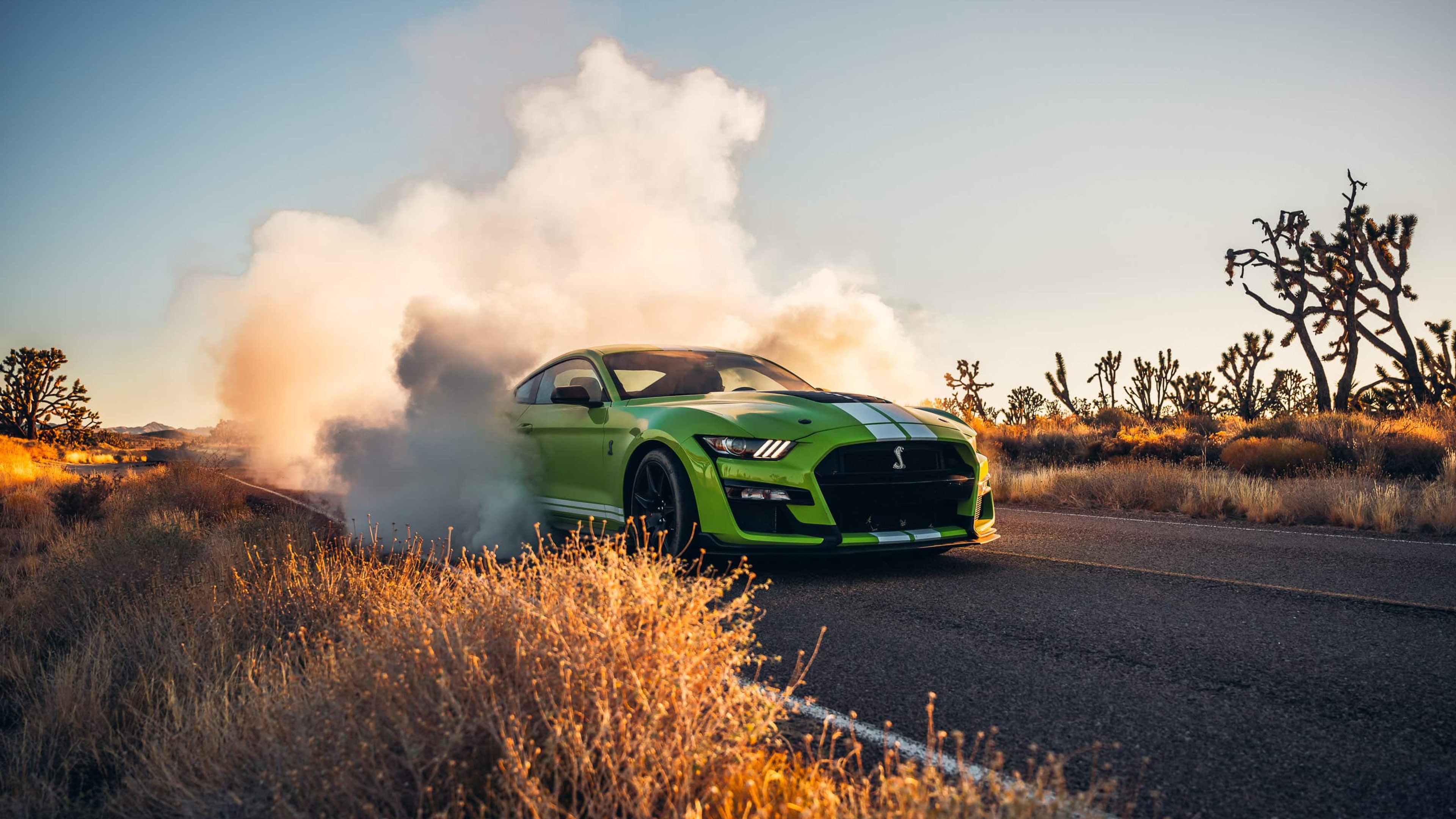 A vibrant green Ford Mustang Shelby GT500 burning rubber on a desert road, surrounded by smoke and the warm glow of the setting sun