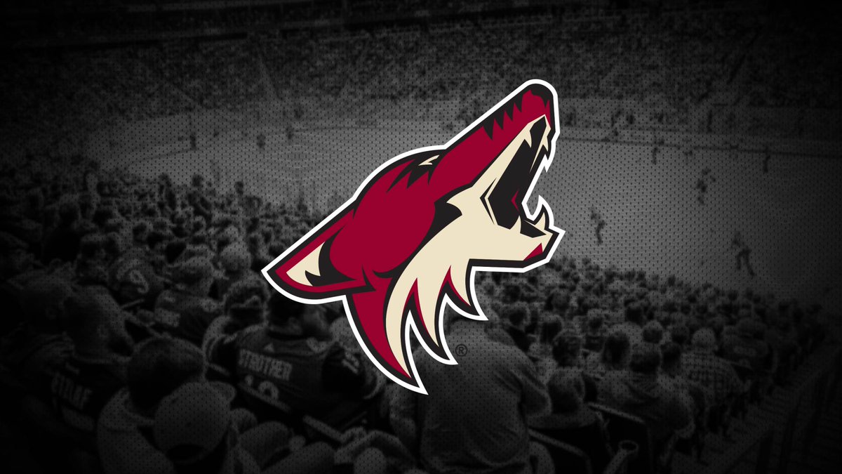 Arizona Coyotes On Looking For A New Wallpaper We Ve