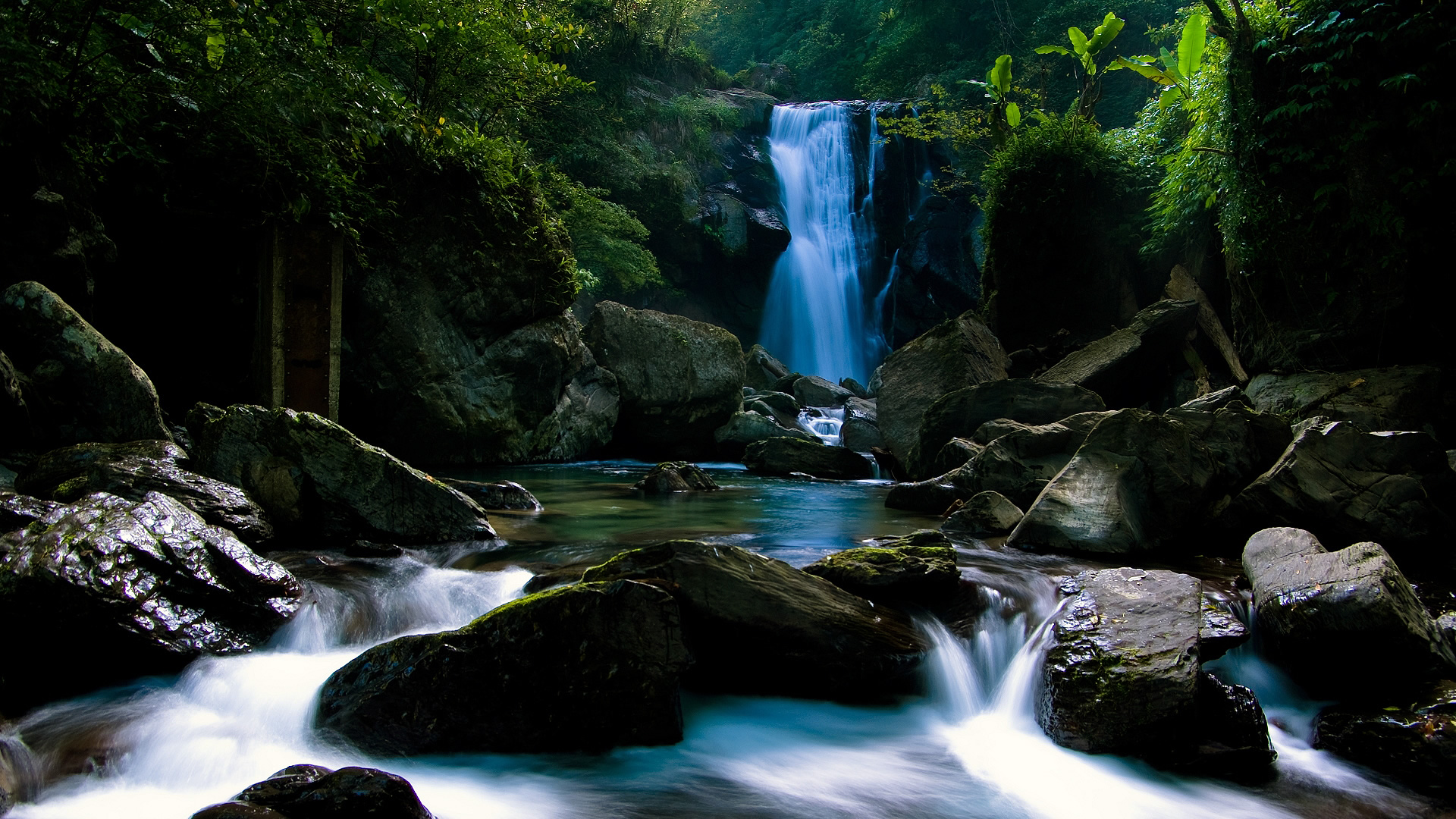 Most Popular HD Wallpaper
