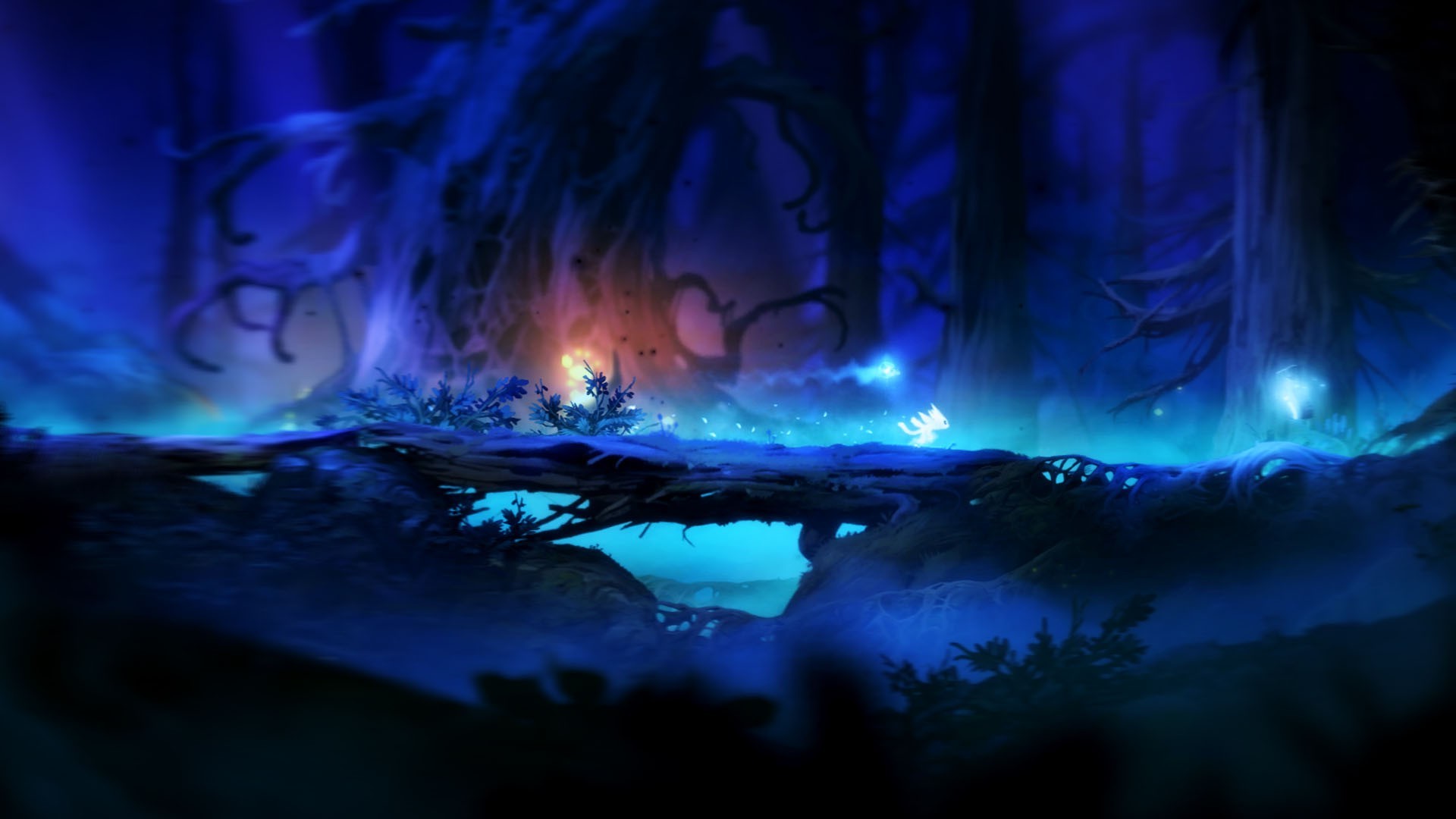 Fantasy Art Ori And The Blind Forest Wallpaper HD