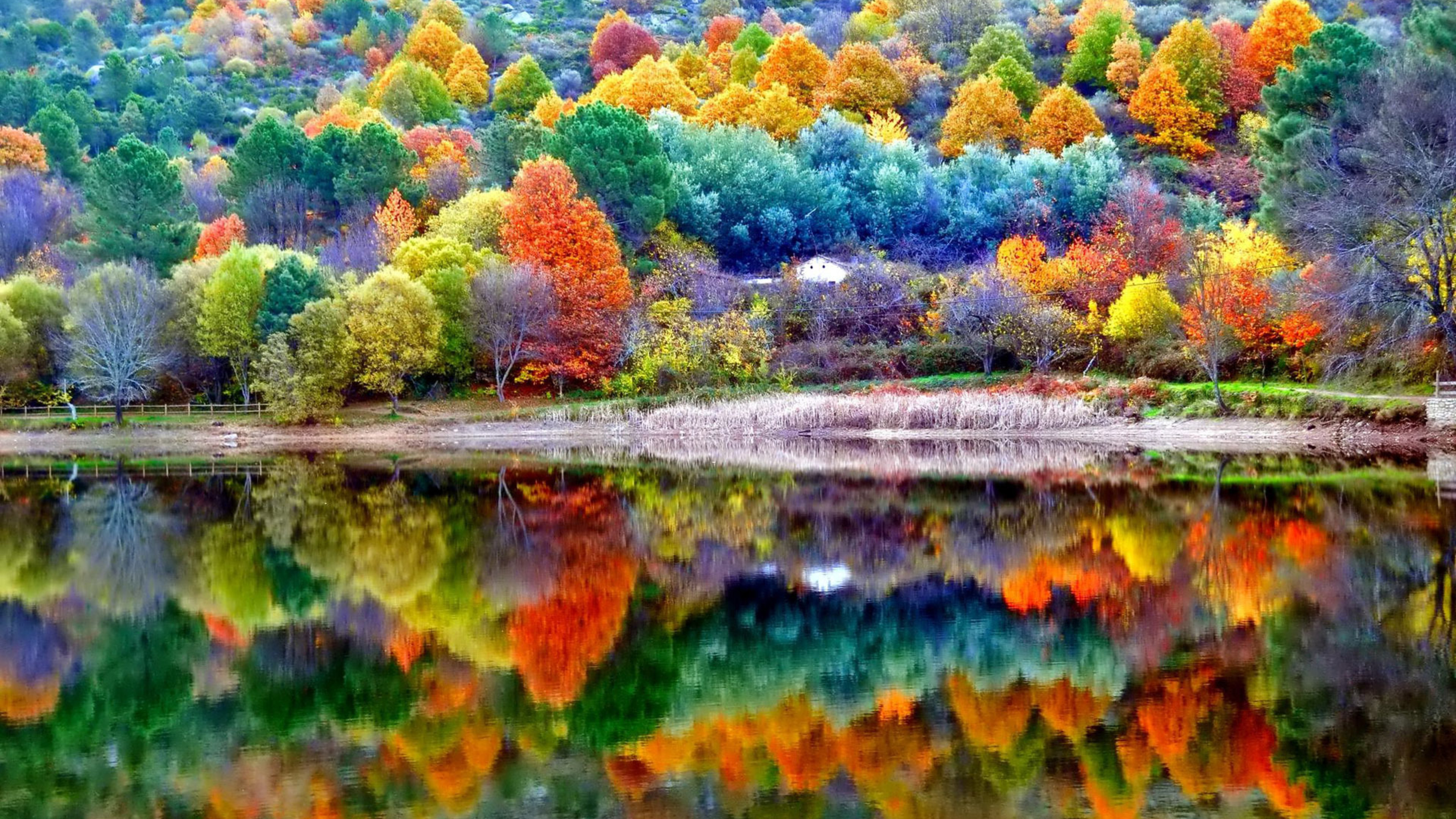 Vivid autumn foliage reflected in a calm lake, creating a stunning mirrored landscape