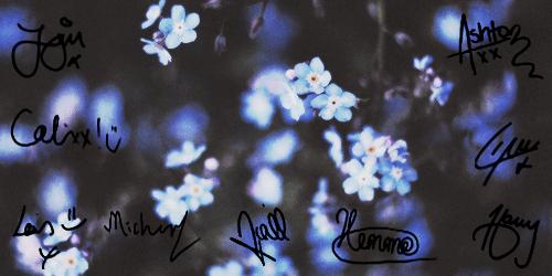 One Direction And Seconds Of Summer Signature Headers