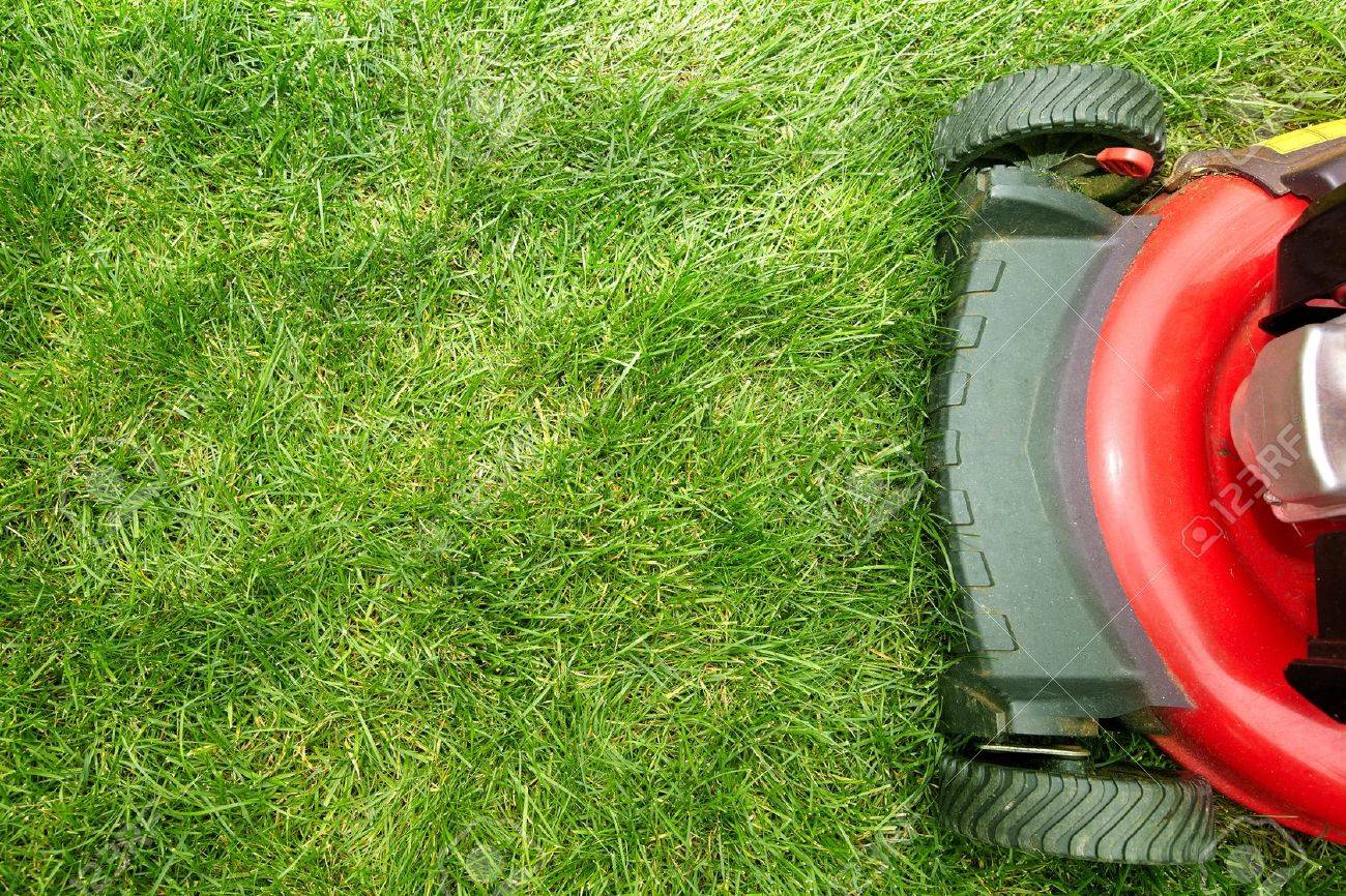 Red Lawn Mower Cutting Grass Gardening Concept Background Stock