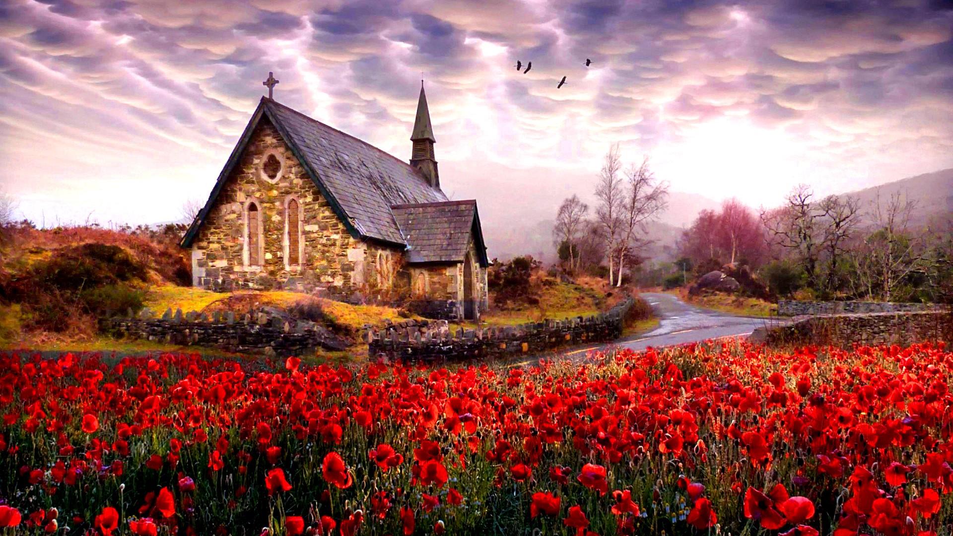 Ireland Killarney League Wallpaper Top