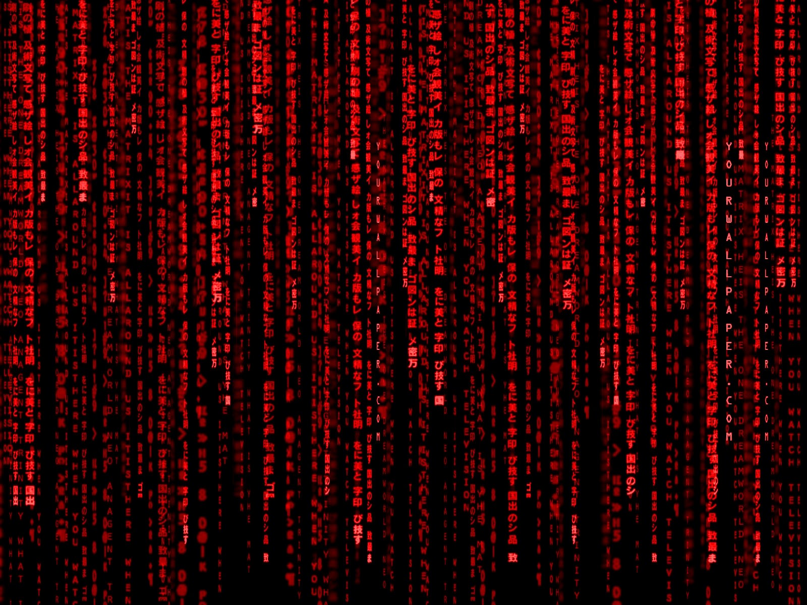 Red Matrix Wallpaper 1600x1200 Red Matrix Code