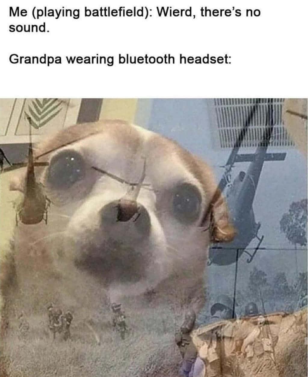 Dog War Flashbacks Dank Memes Picture Wallpaper