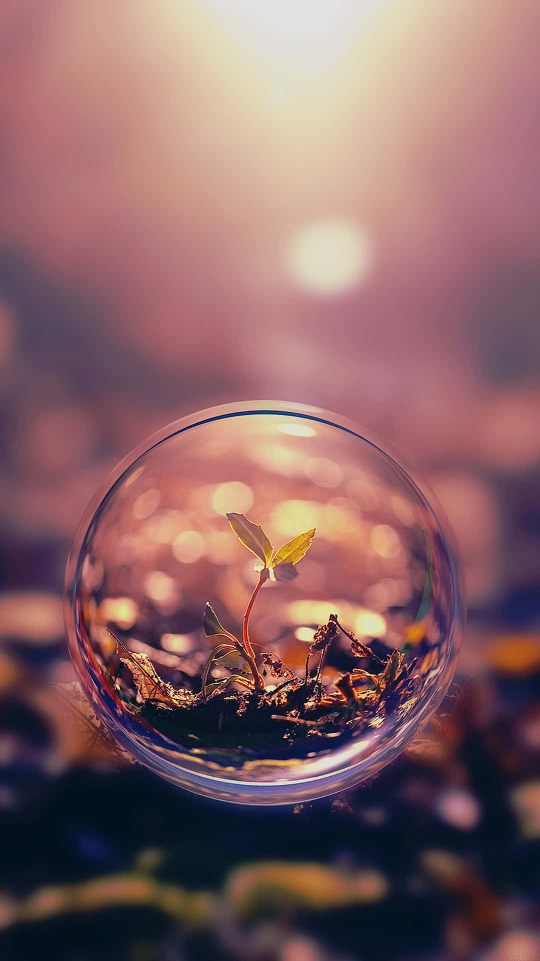 Nature Android HD Wallpaper