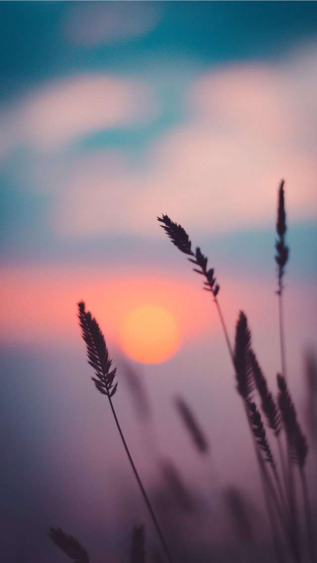 Best Sunset iPhone HD Wallpapers   iLikeWallpaper 640x1136
