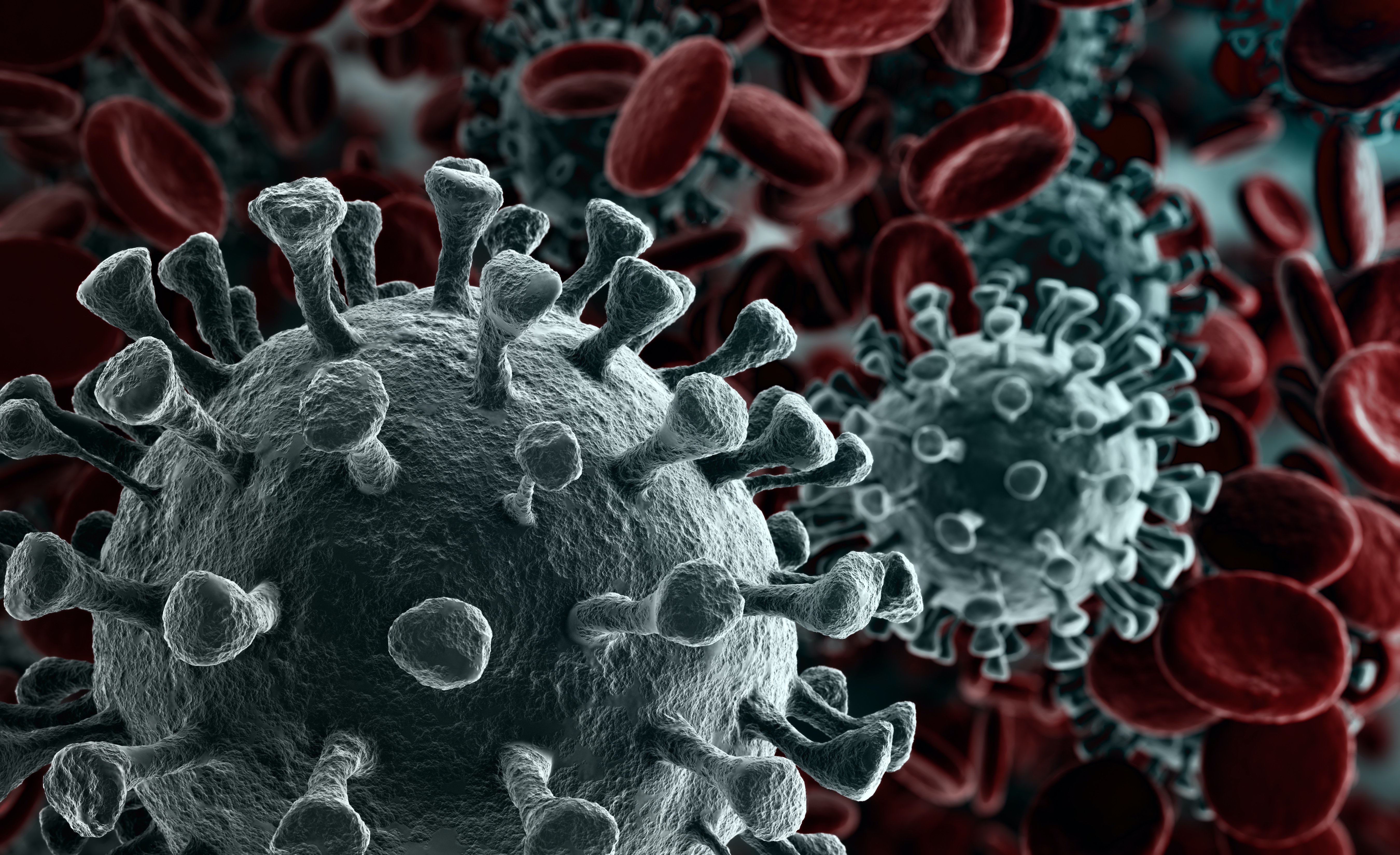 Facts About The Coronavirus Wallpaper