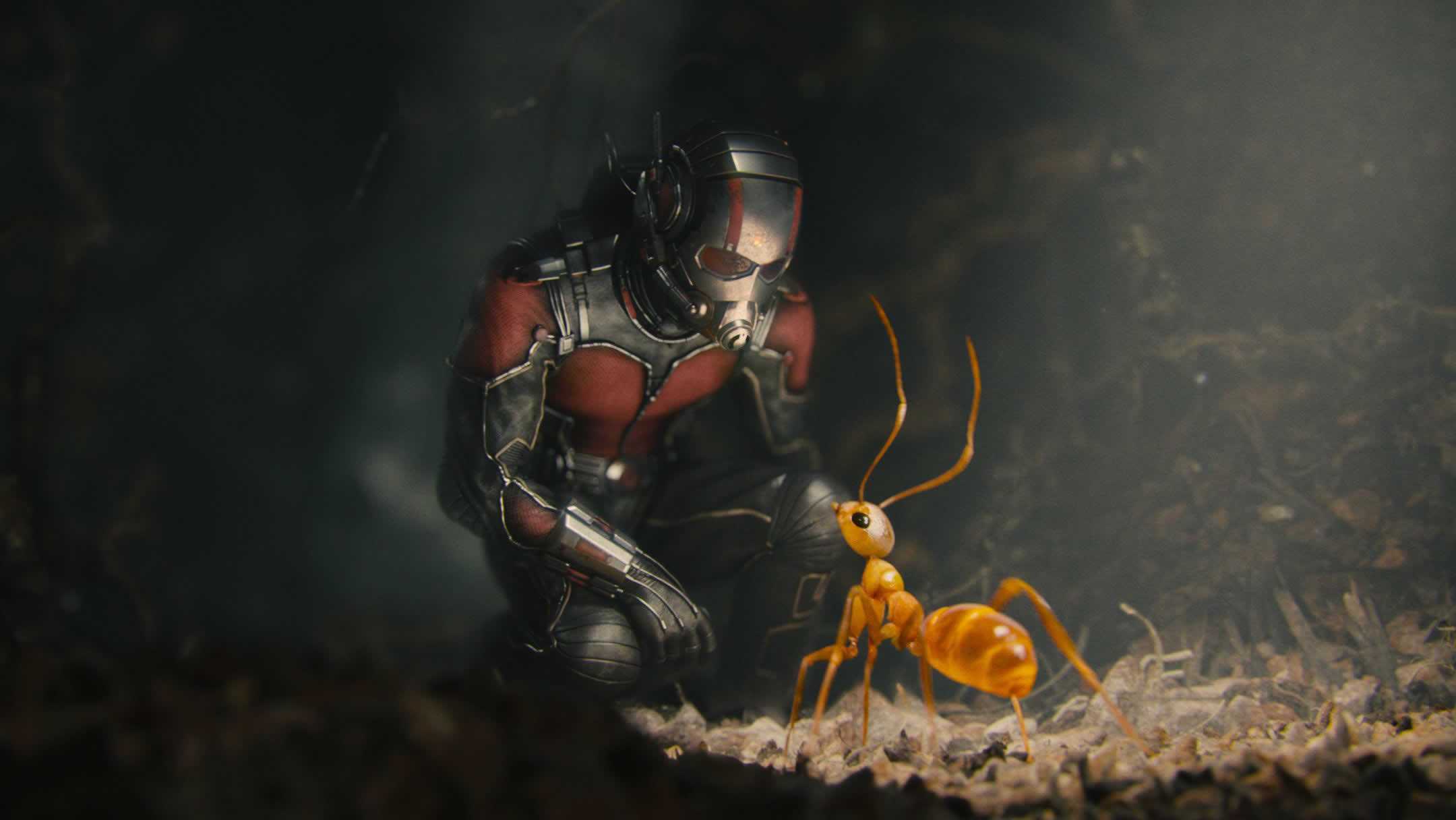 Antman Puter Wallpaper Desktop Background Id