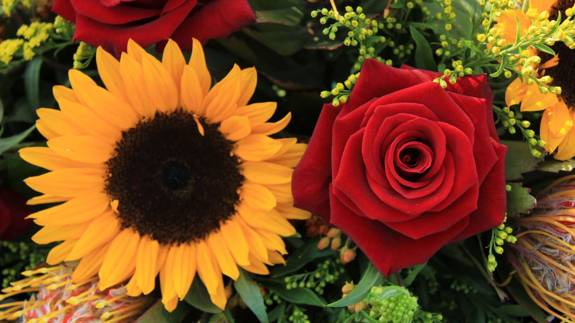 The Brightest Bouquet Sunflowers And Roses Wallpaper