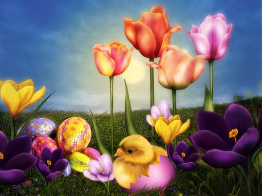 Download Happy Easter wallpapers to your cell phone   beauty chicken