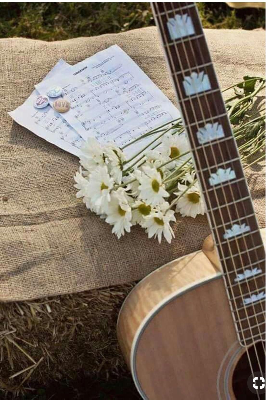 Aesthetic Acoustic Guitars Wallpaper