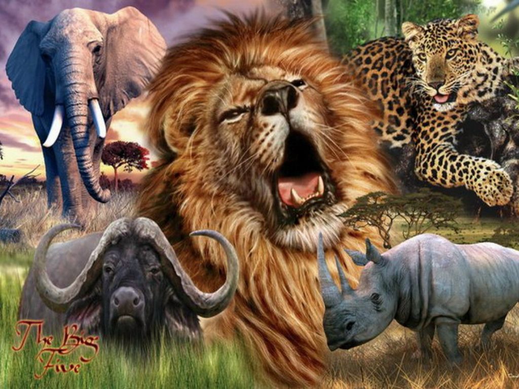 Big Five   Desktop Nexus Wallpapers Animals wild Animals Large 1024x768