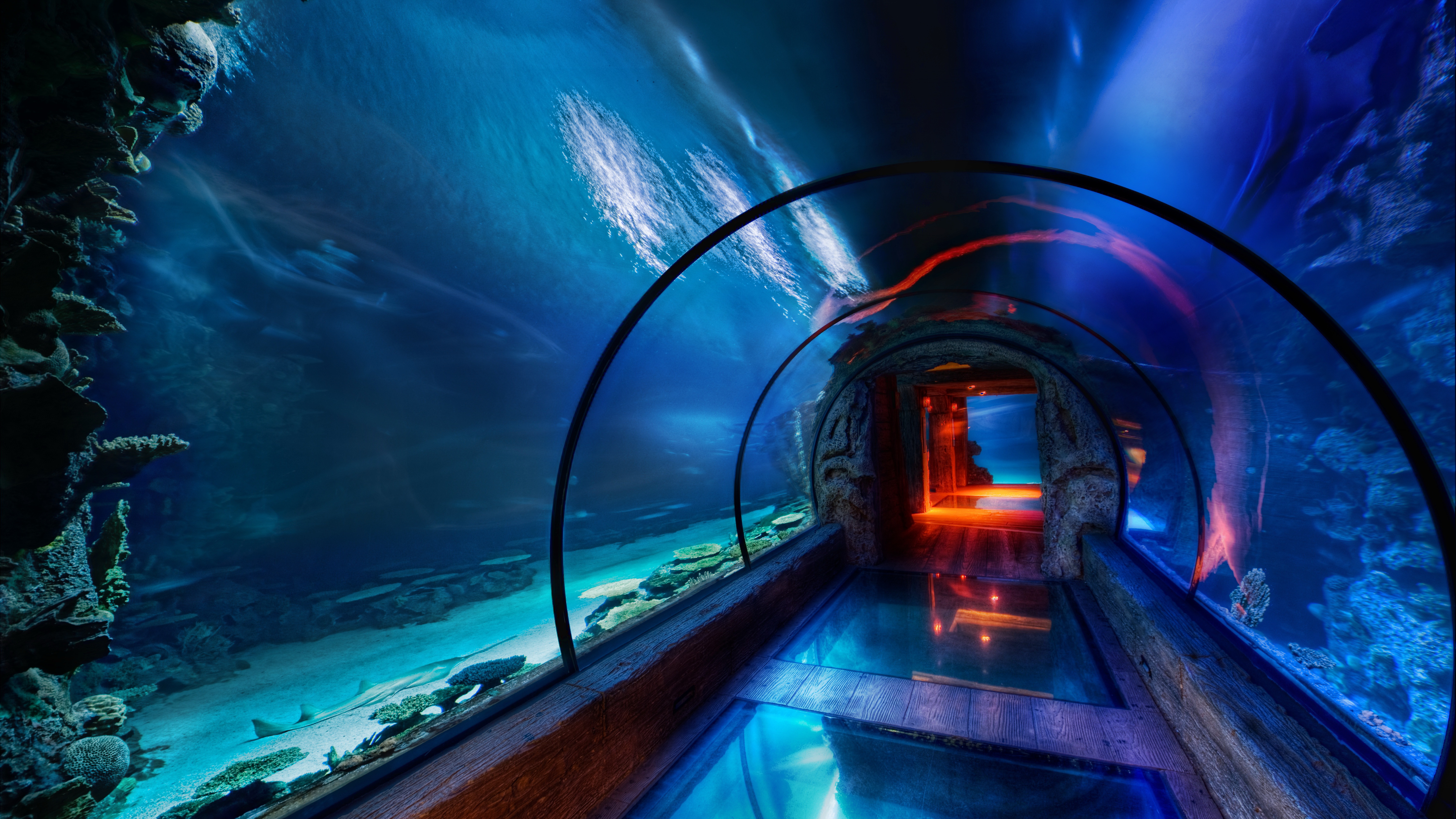 The Secret Underwater Passage Under Mandalay Bay Hotel In Las Vegas