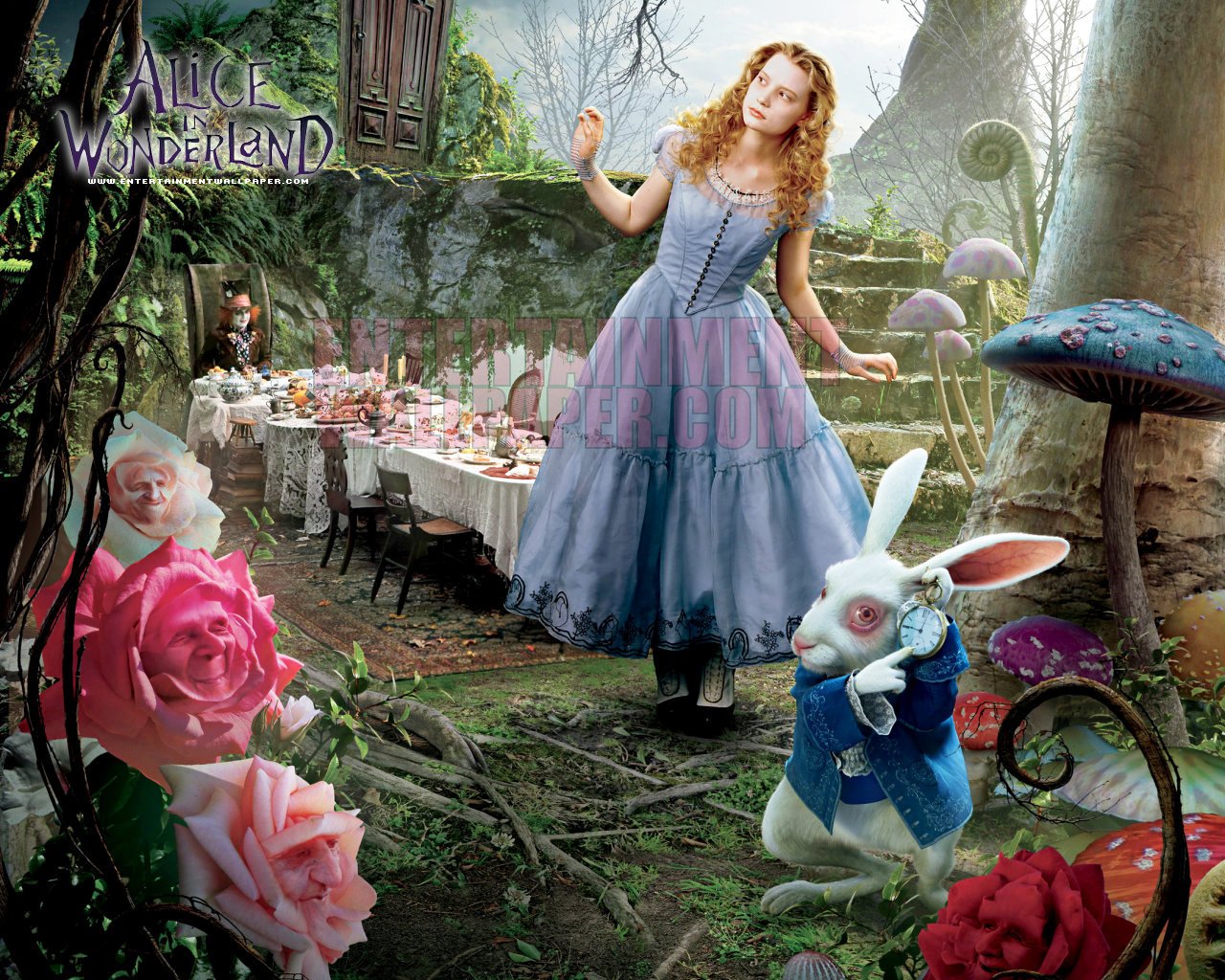 HotHDwallpaper Wallpaper HD Alice In Wonderland