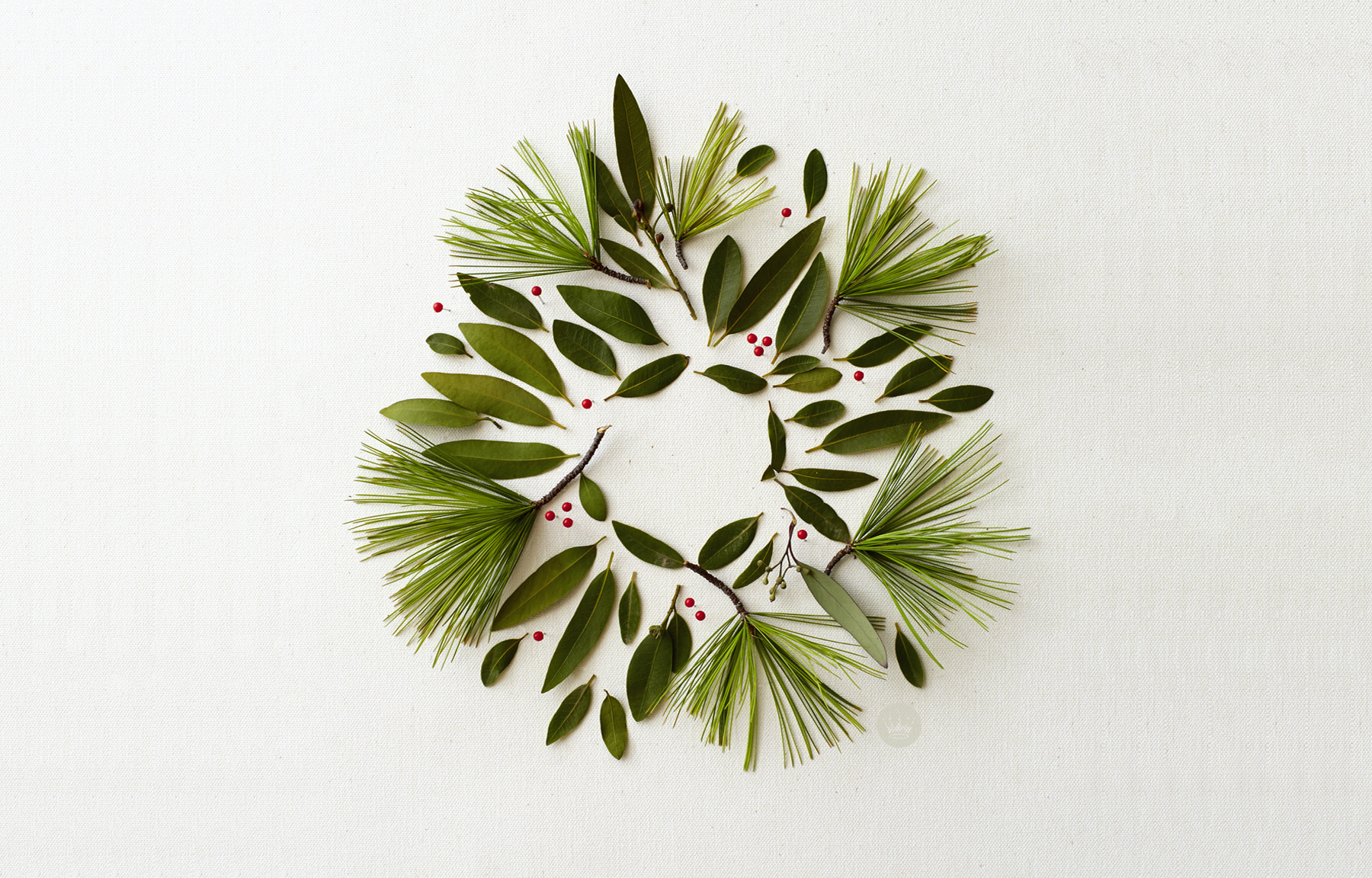 Holiday Greenery By Hallmark Stylist Andy N And Photographer