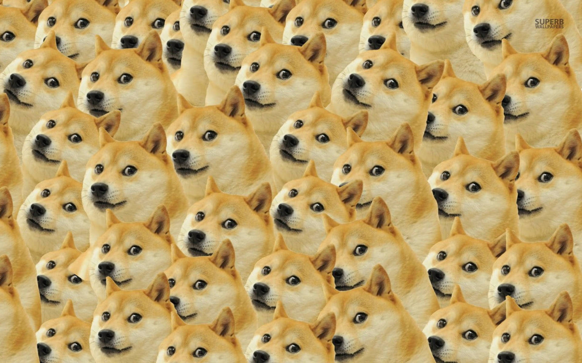 Meme Faces Wallpaper