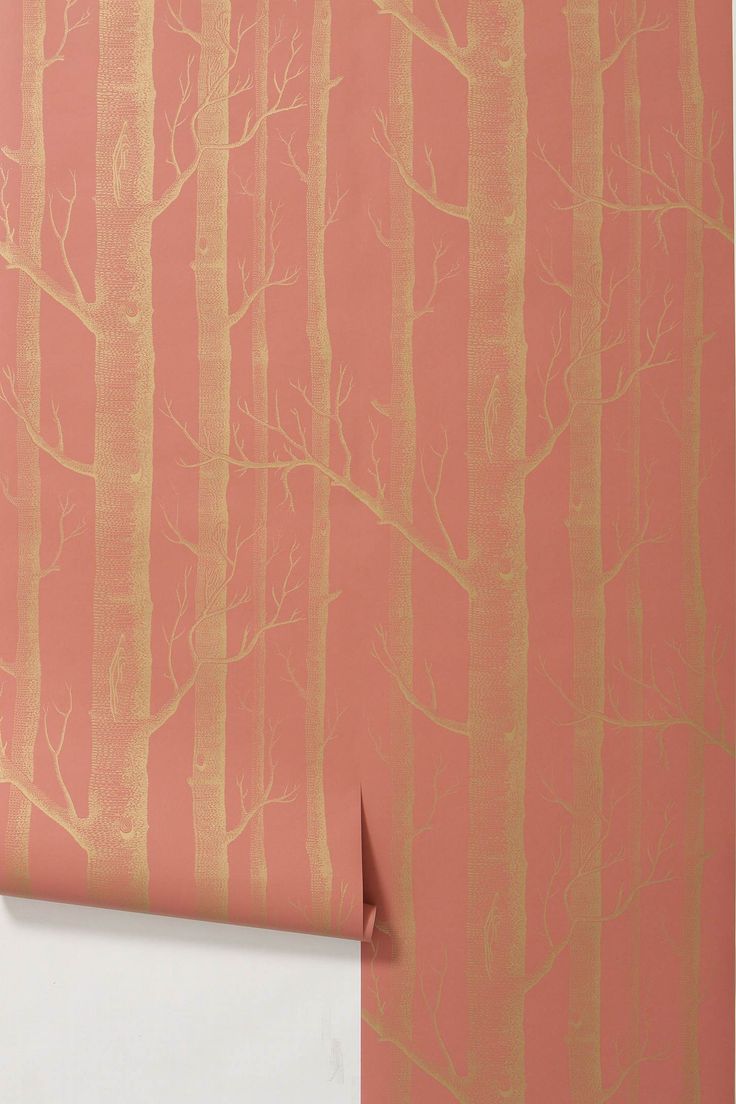 This Gold Birch Tree Wallpaper At Anthropologie By Cole And Son