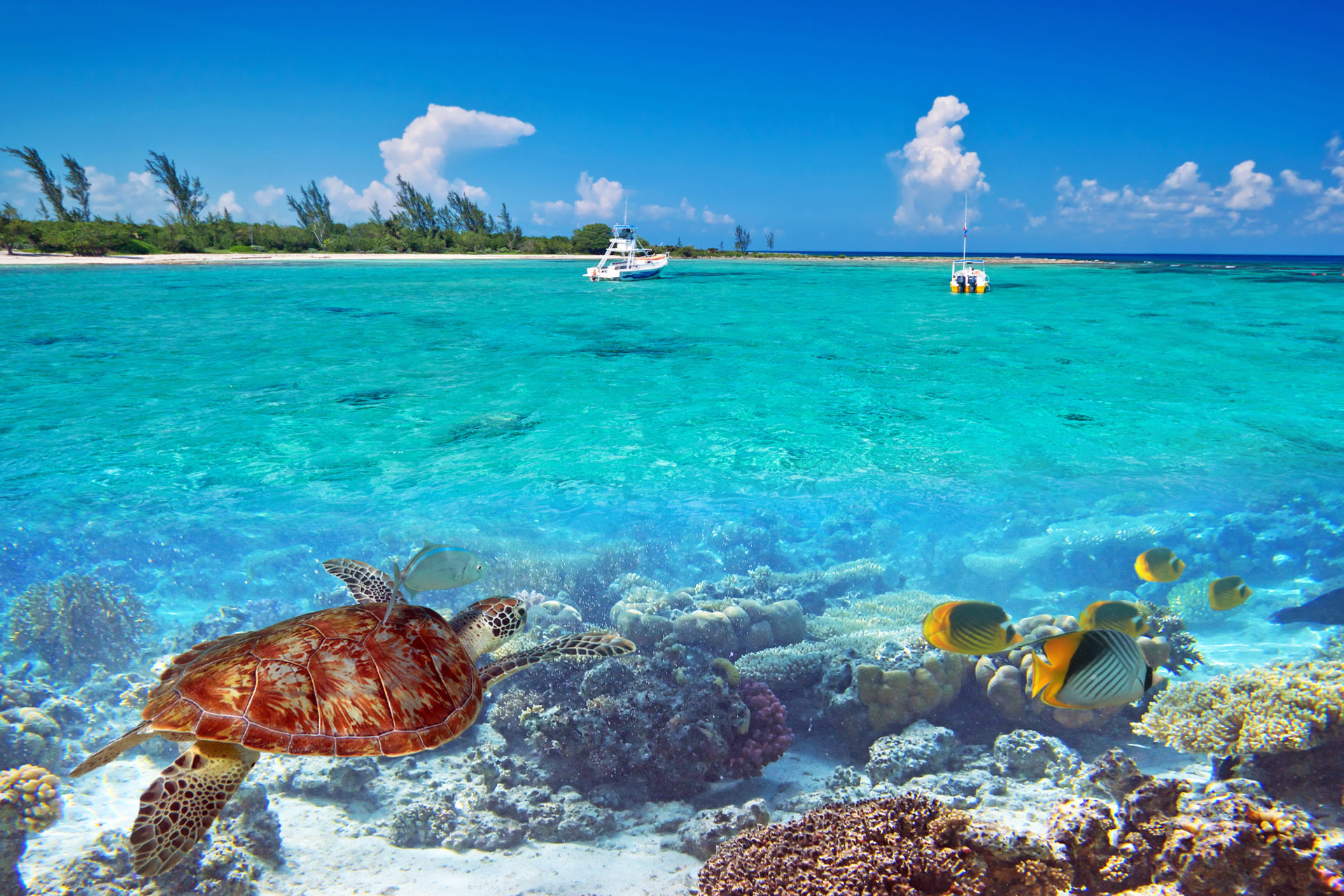 My Tropical Beach Summer Vacation Wallpaper