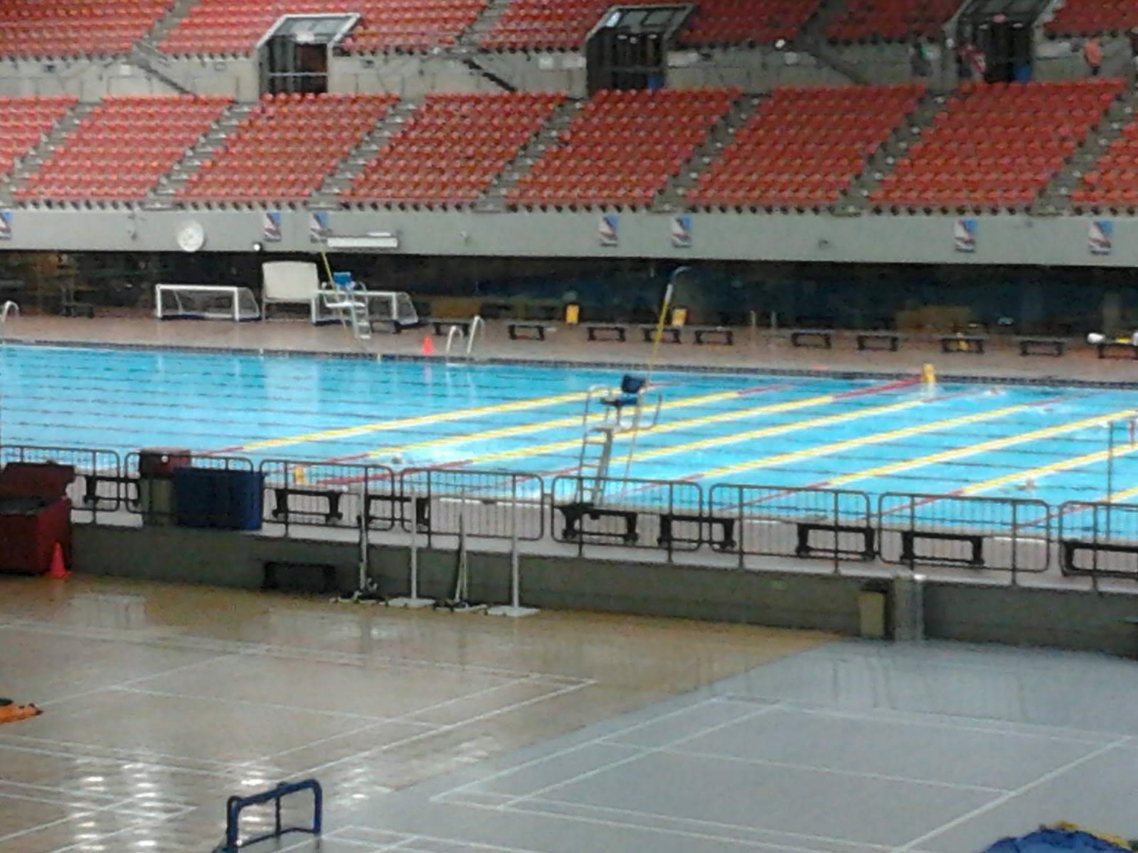 Olympic Swimming Wallpaper Pool
