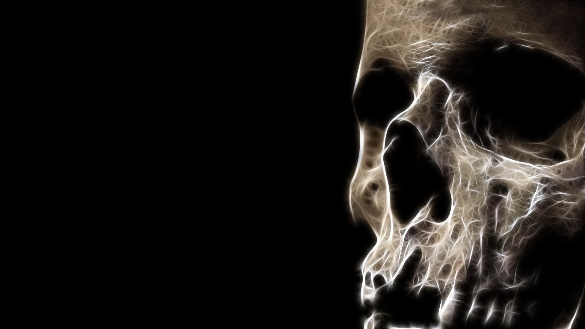 3d Skull Wallpaper