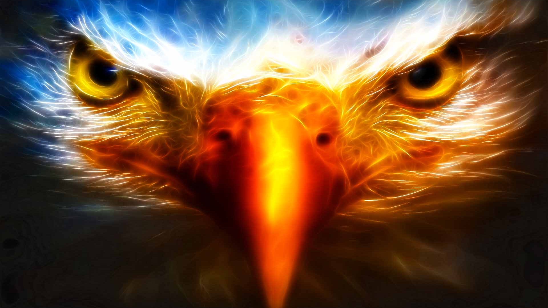 Eagle 3d Cool HD Wallpaper Desktop Background