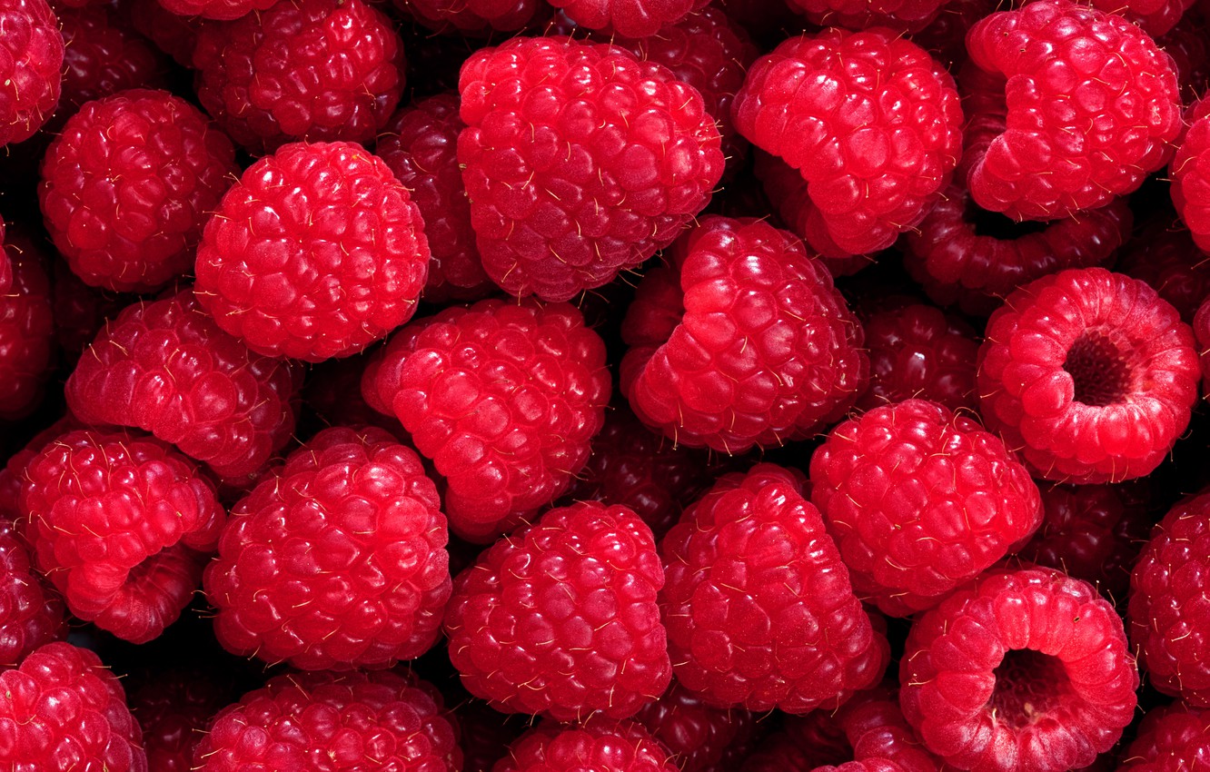 Wallpaper Berries Raspberry Background