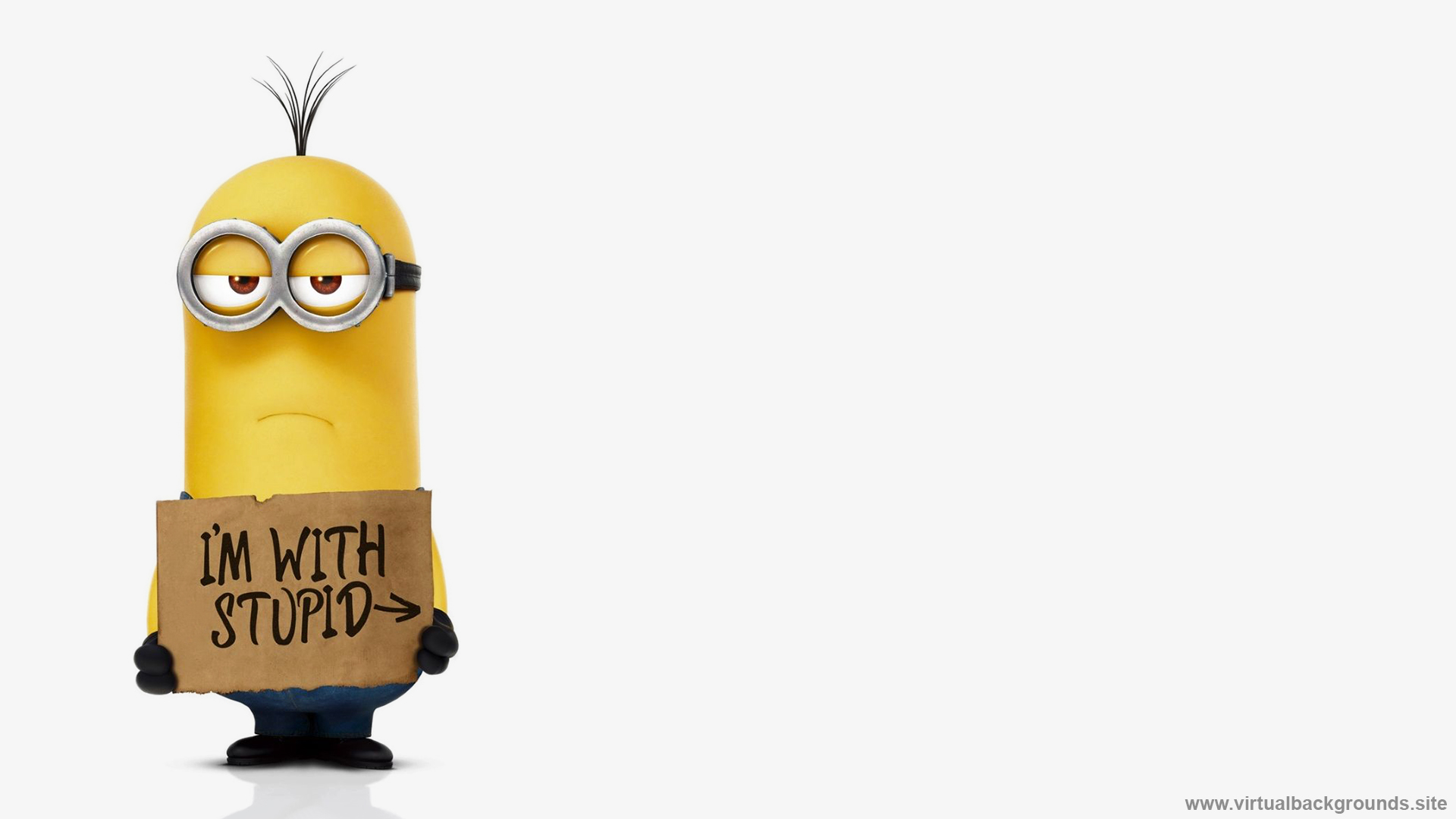 Animated Zoom Background Funny Wallpaper