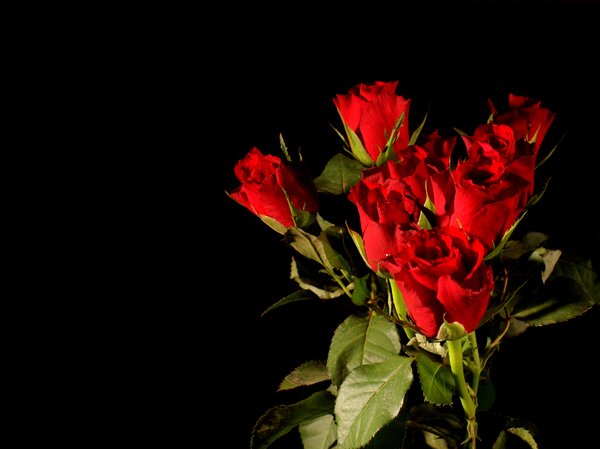 Bouquet Of Red Roses A On Black Background