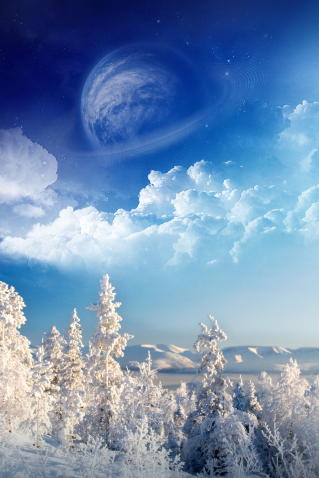 Winter wonderland Desktop wallpapers 640x960