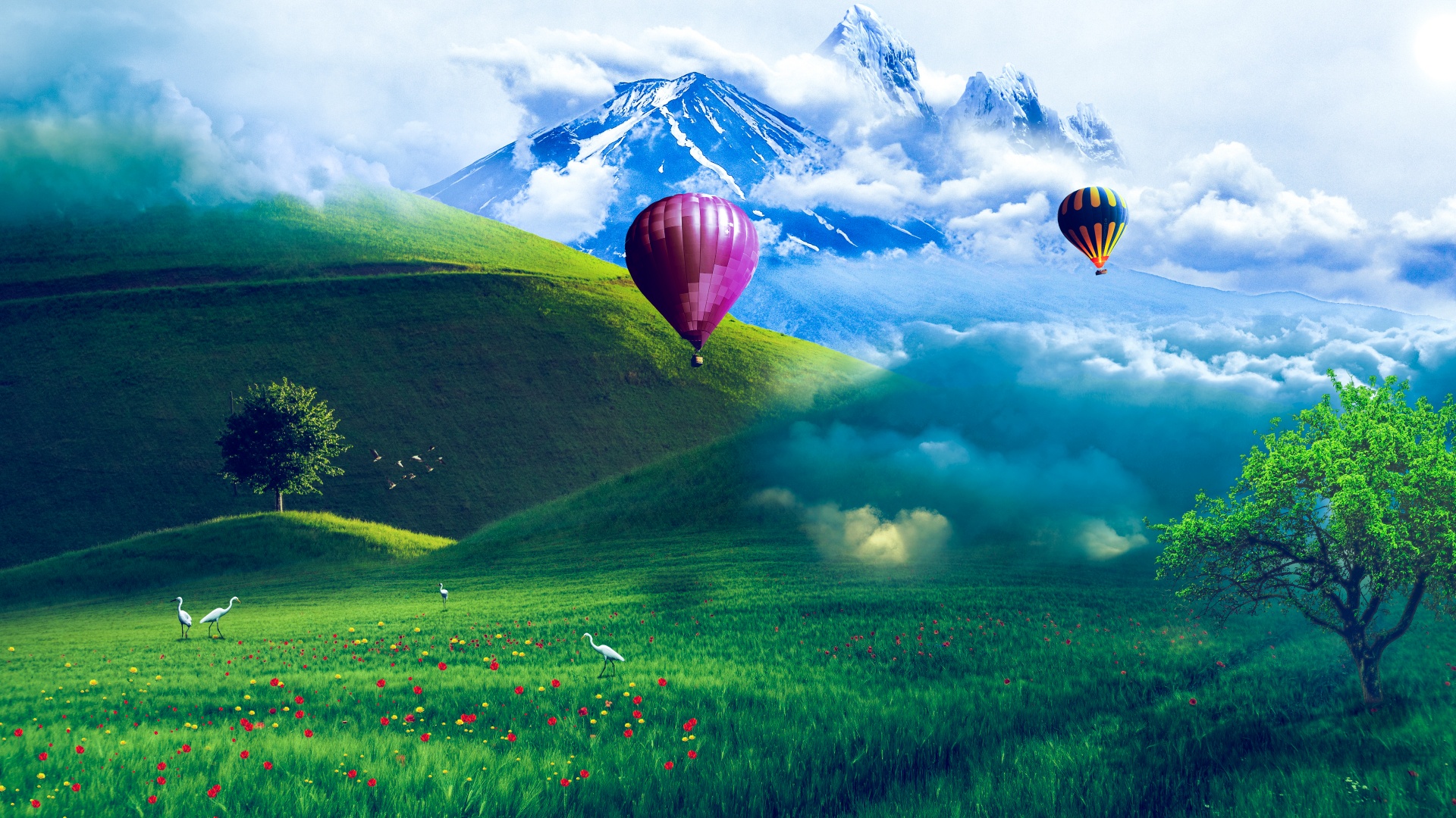 Hot Air Balloon Wallpaper Ipad At Patricia Kibbe