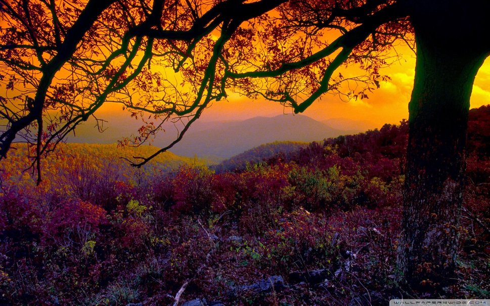 Beautiful Autumn Sunset Wallpaper
