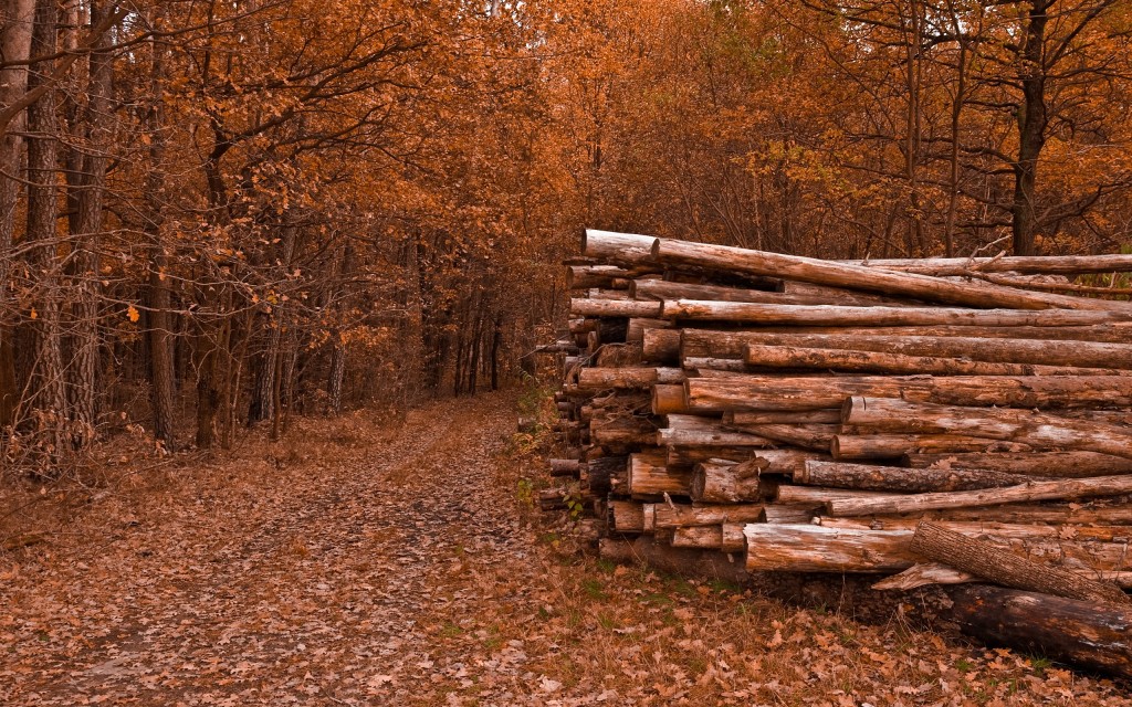 Logging Wallpaper High Quality