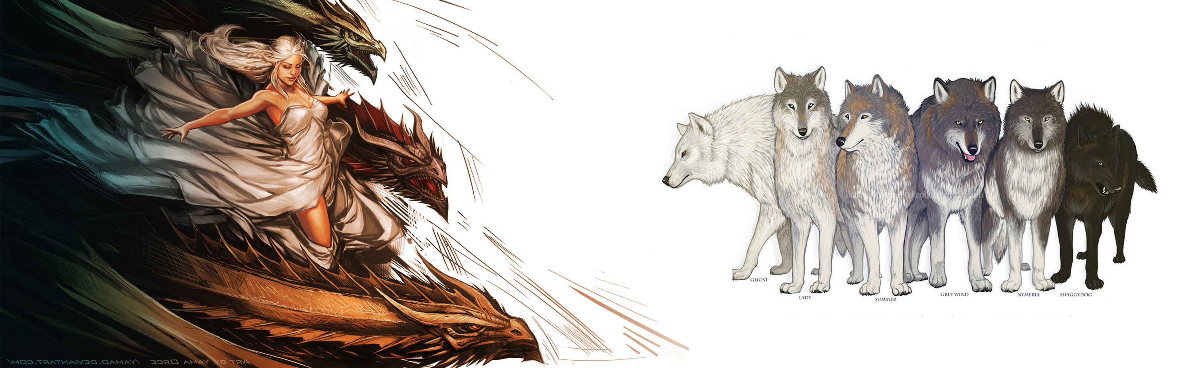 Dragons And Dire Wolves Wolf Wallpaper Designer