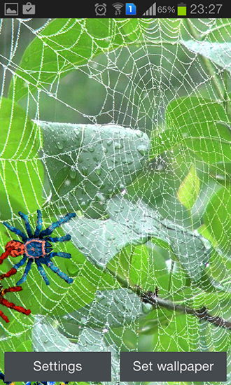 Spider Live Wallpaper Screenshots How Does It Look