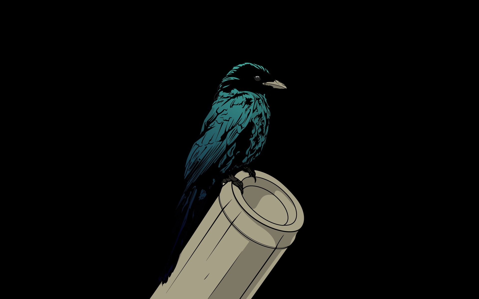 Download Wallpaper raven bird pipe HD Background