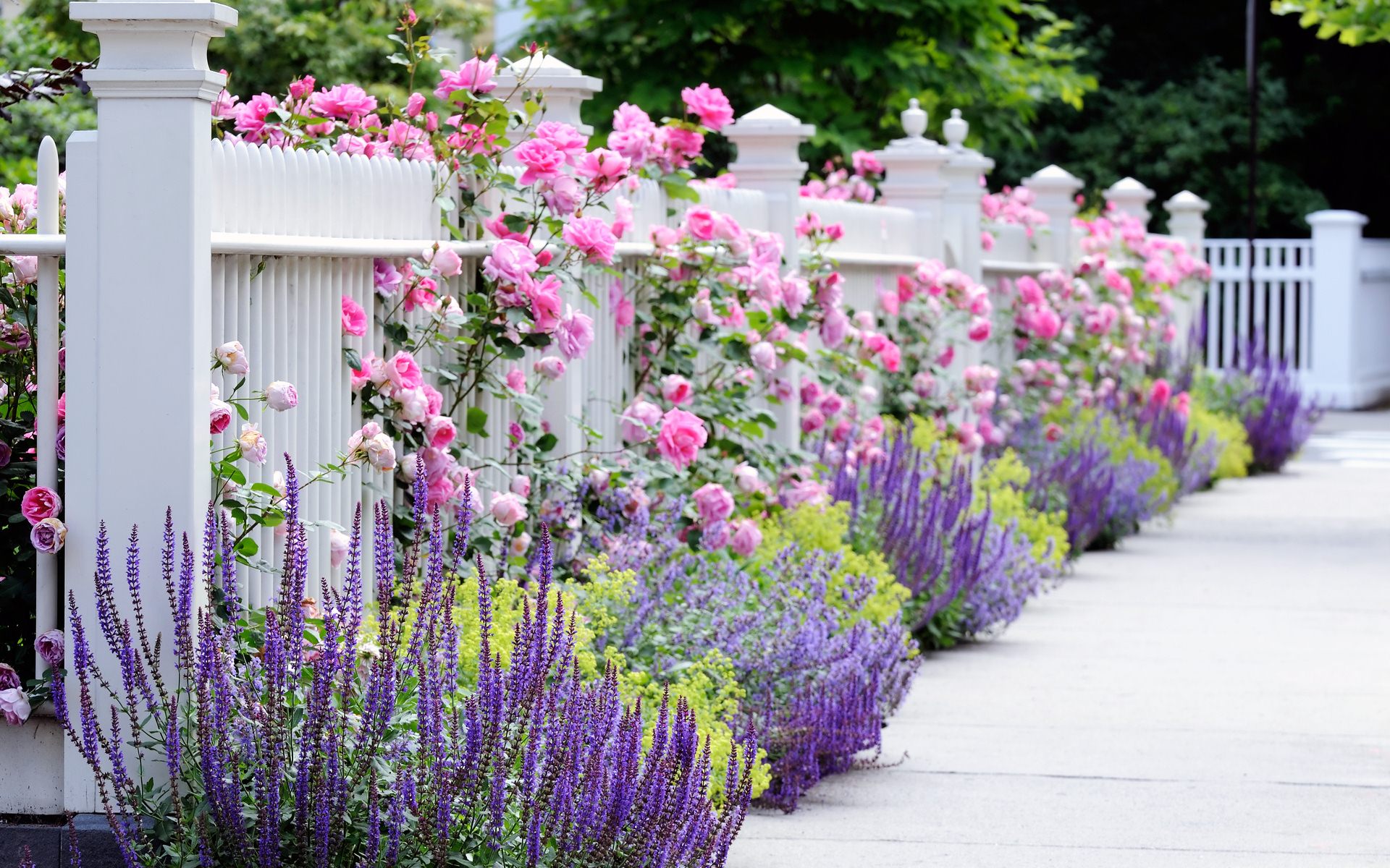 Flower Garden Wallpaper