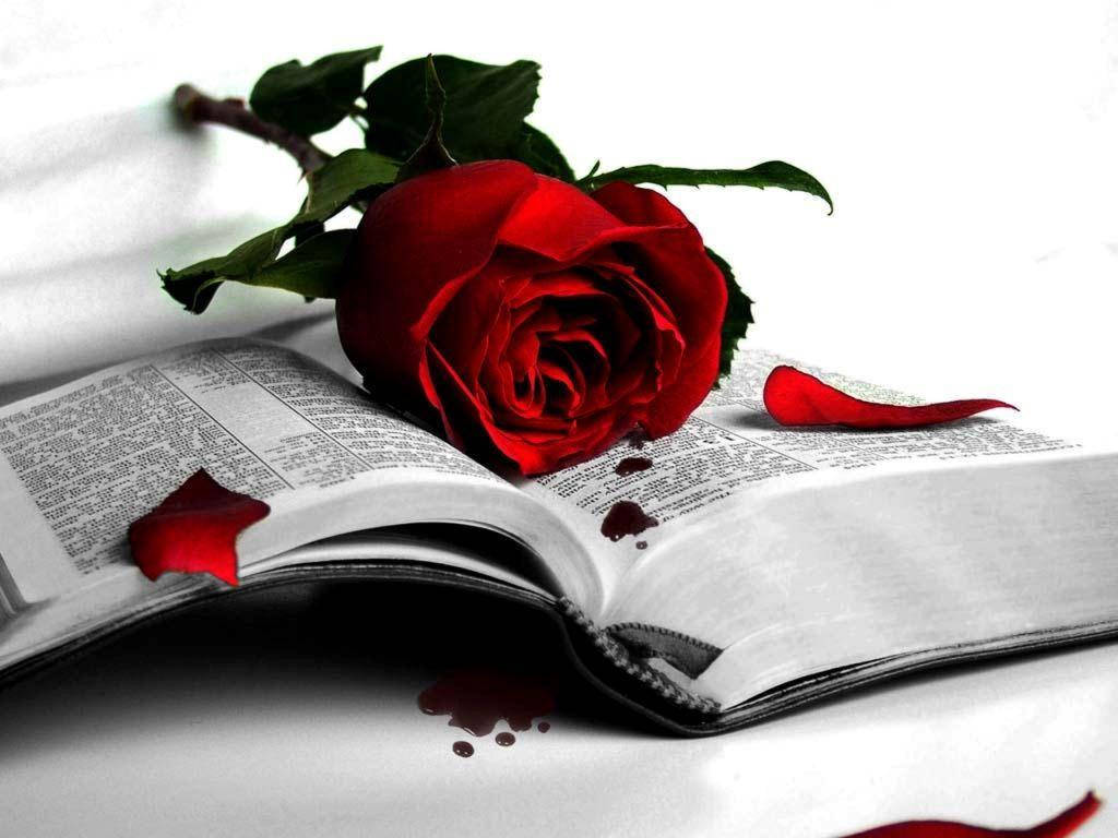 Sad Love Wallpaper
